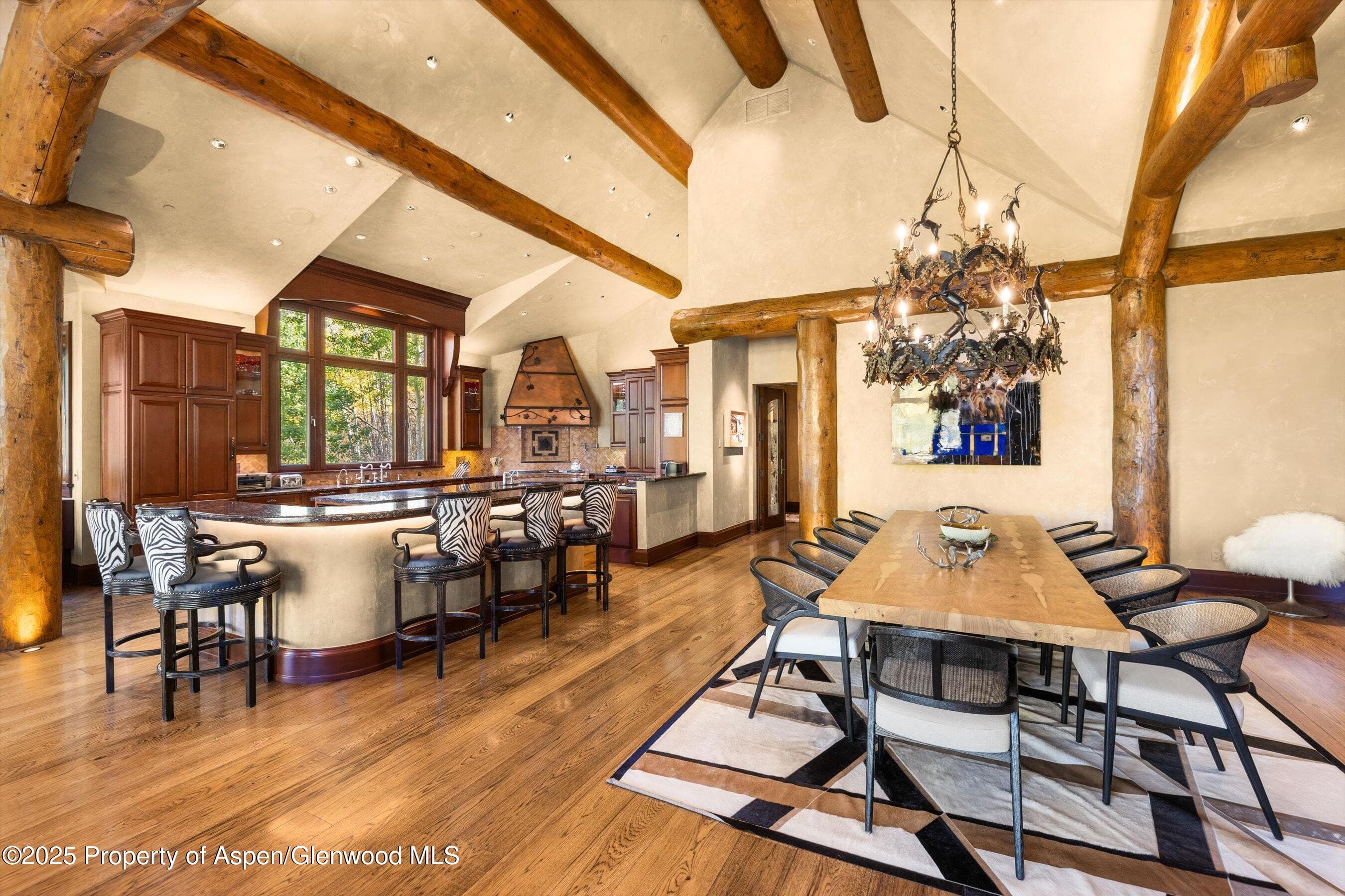 928 S Mill Street, Aspen, CO 81611 - Photo 13