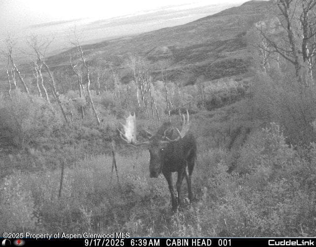 814 Fiddleneck Drive Lot: 62, 61, 60, Craig, CO 81625 - Photo 5