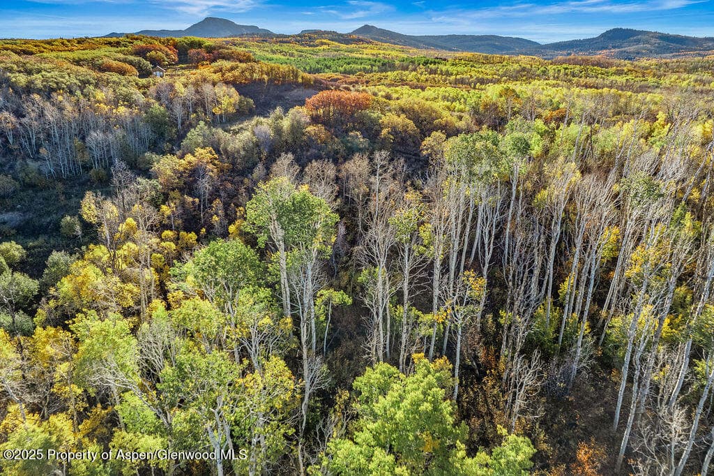 814 Fiddleneck Drive Lot: 62, 61, 60, Craig, CO 81625 - Photo 11