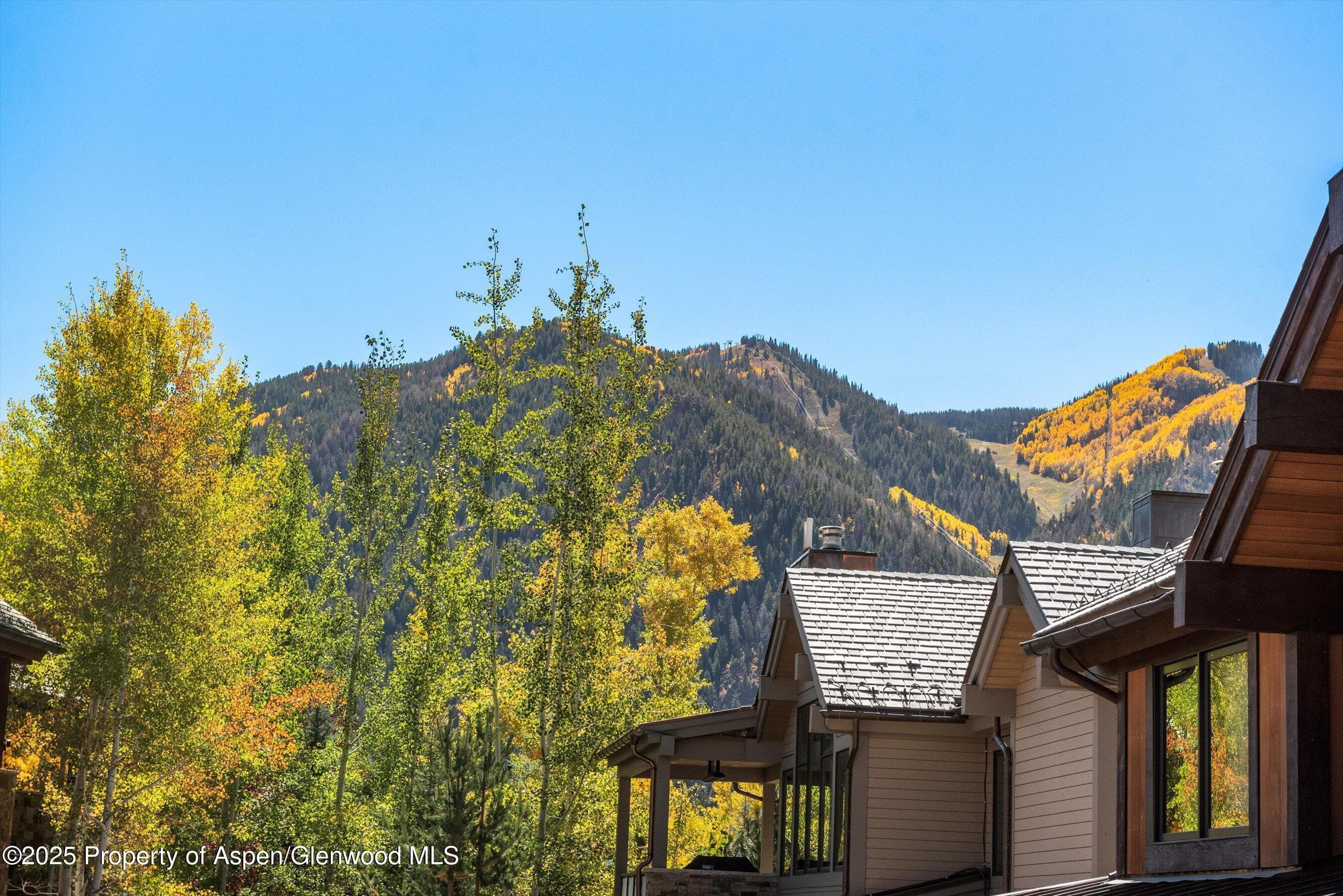 543 Walnut Street B, Aspen, CO 81611 - Photo 25