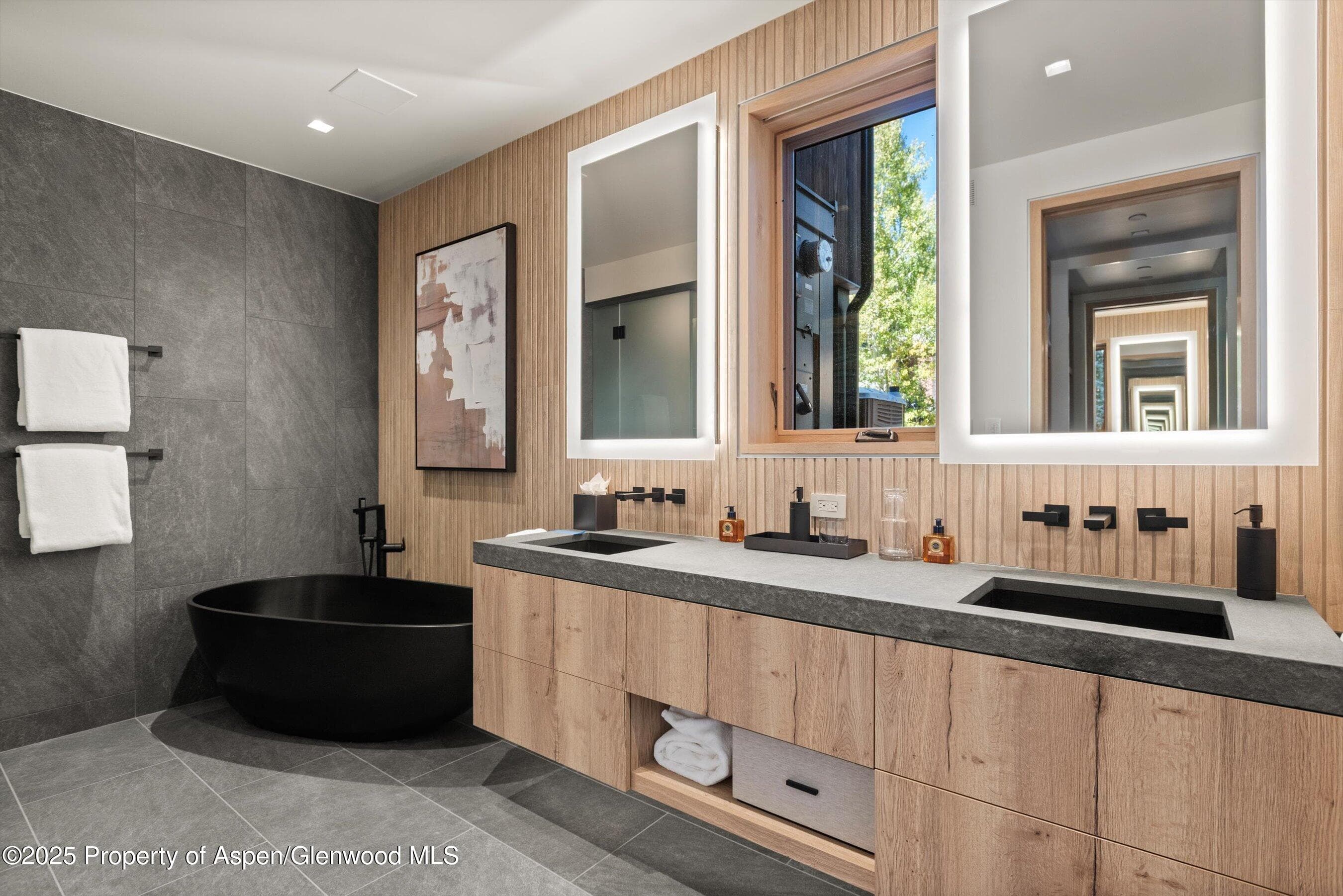 543 Walnut Street B, Aspen, CO 81611 - Photo 14