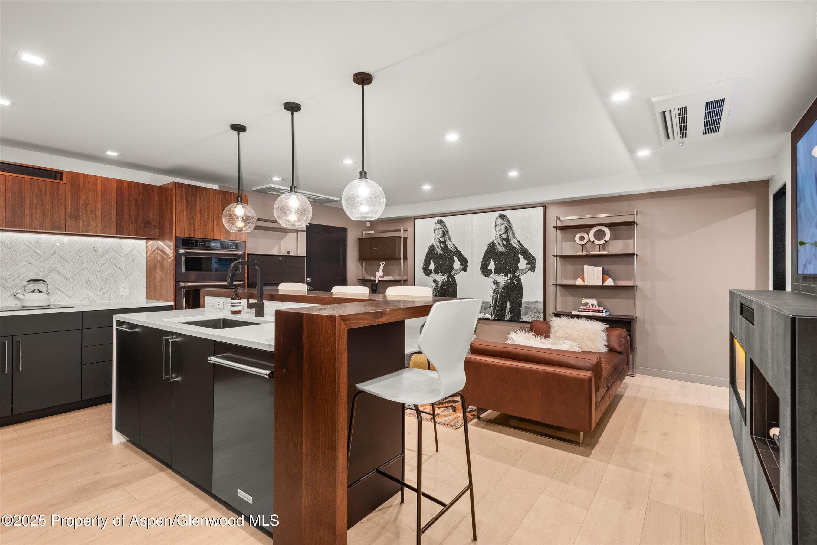 725 E Durant Avenue 22, Aspen, CO 81611 - Photo 6
