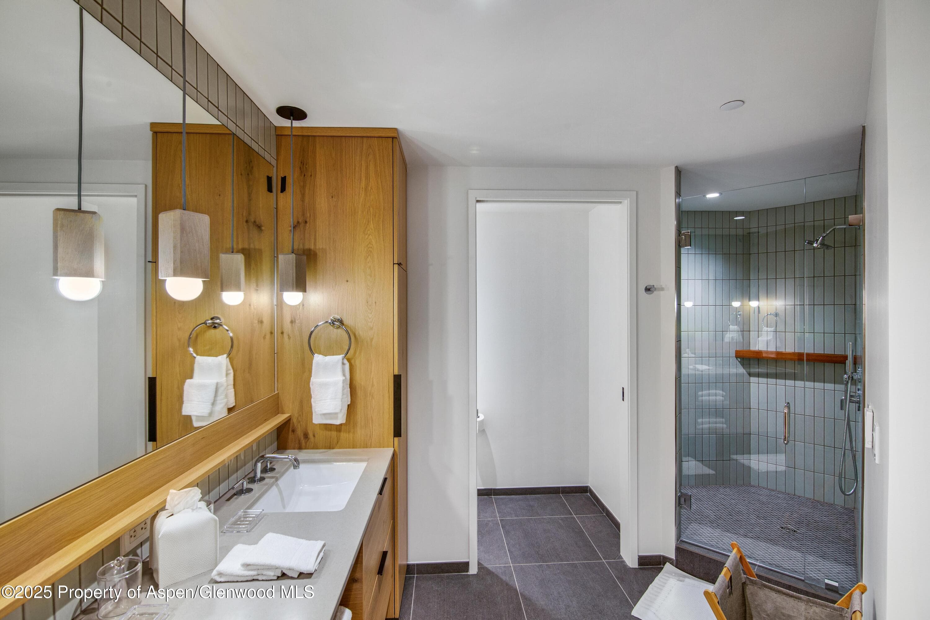 119 Wood Road 207, Snowmass Village, CO 81615 - Photo 13