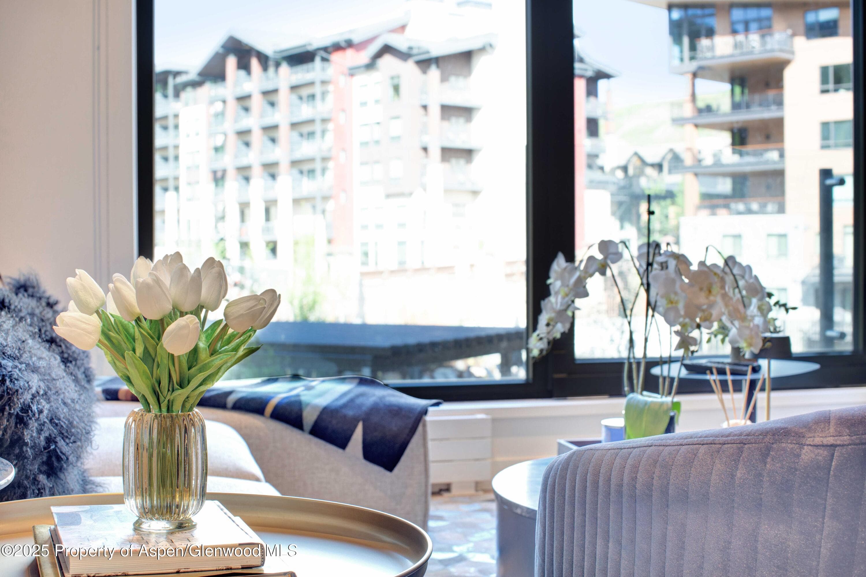 119 Wood Road 207, Snowmass Village, CO 81615 - Photo 6