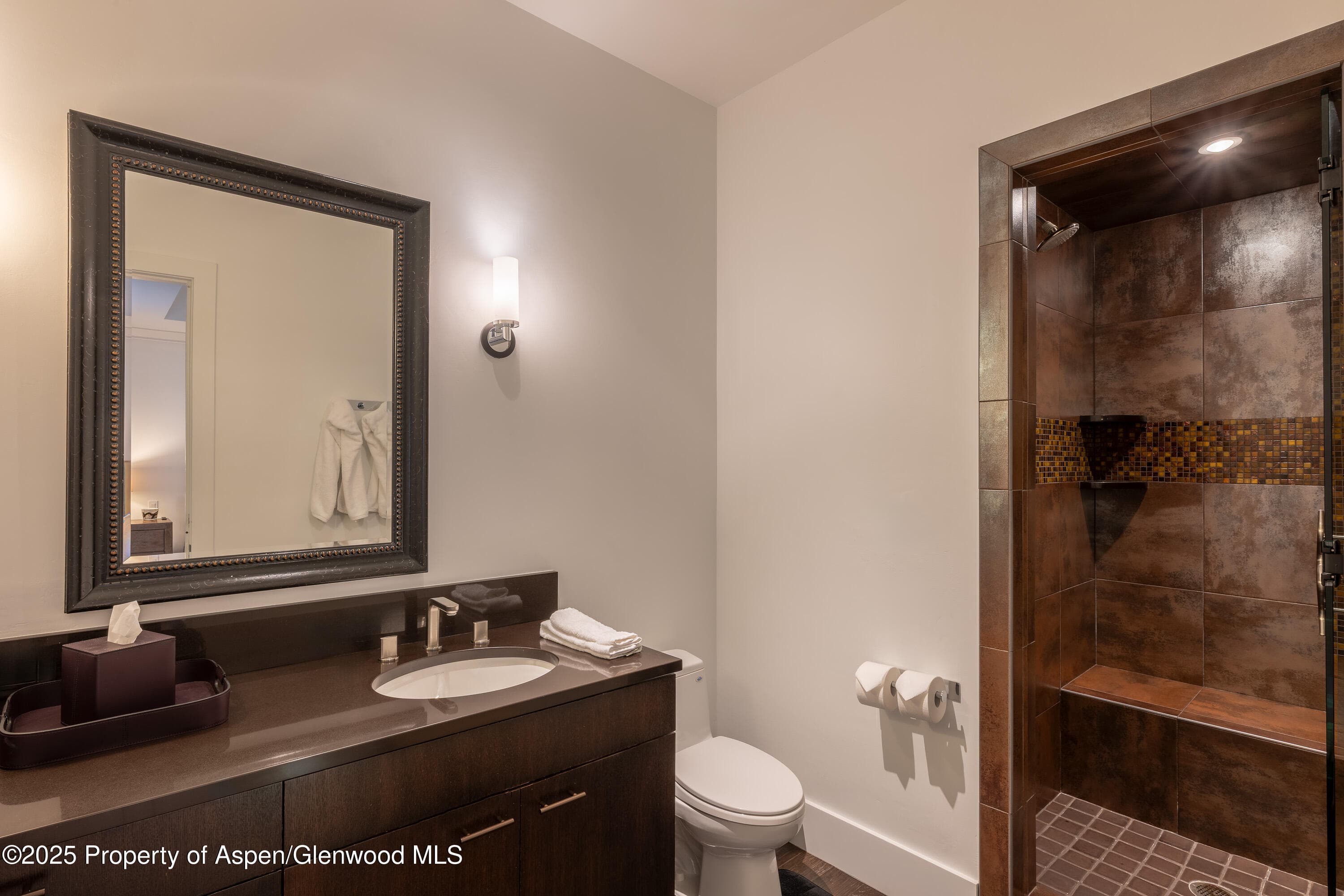 28 Maroon Drive, Aspen, CO 81611 - Photo 33