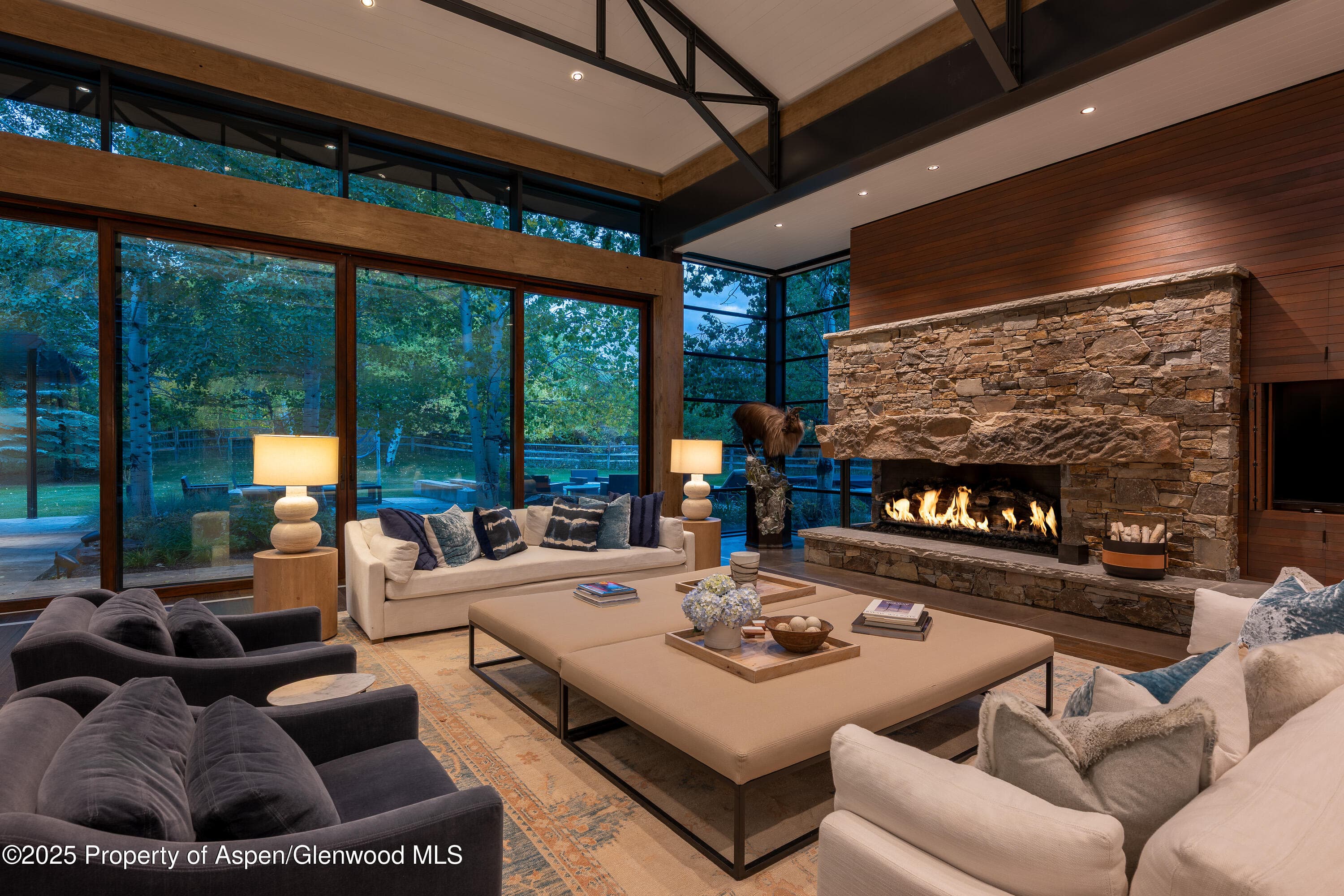 28 Maroon Drive, Aspen, CO 81611 - Photo 10