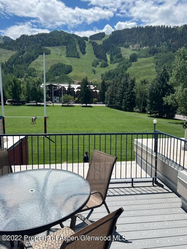 301 E Hyman Avenue #301 (Wks 3,4,47), Aspen, CO 81611 - Photo 3