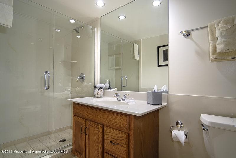301 E Hyman Avenue #301 (Wks 3,4,47), Aspen, CO 81611 - Photo 11