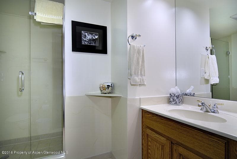 301 E Hyman Avenue #301 (Wks 3,4,47), Aspen, CO 81611 - Photo 12