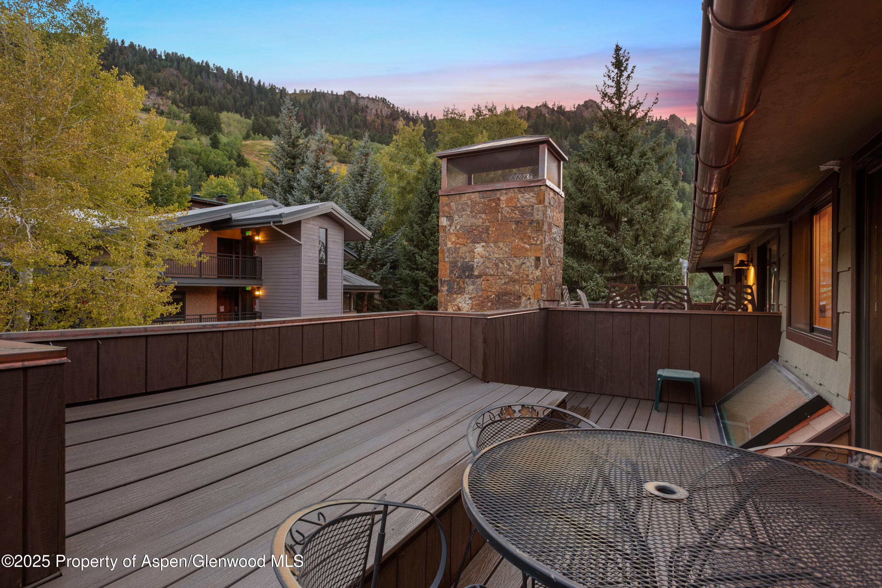650 S Monarch Street Unit 4, Aspen, CO 81611 - Photo 21