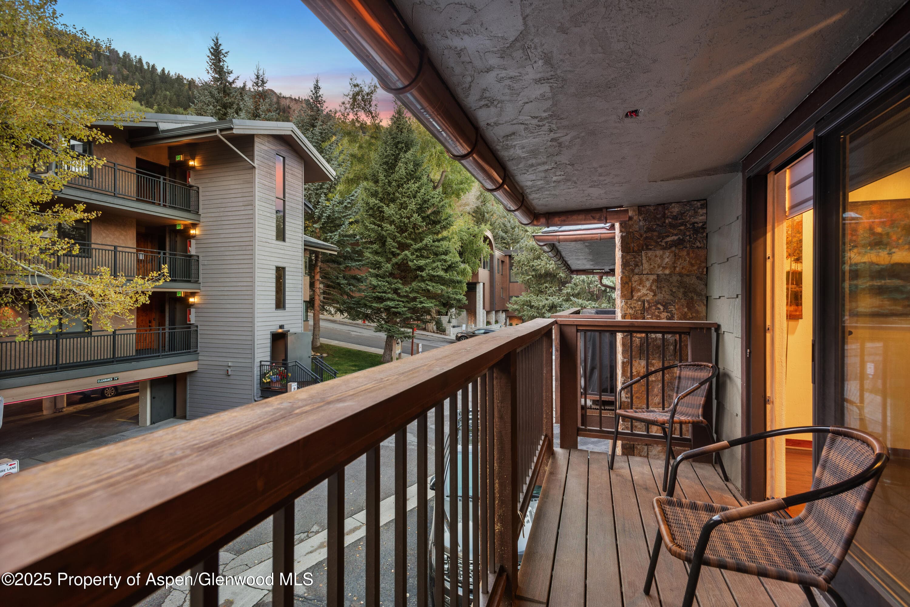 650 S Monarch Street Unit 4, Aspen, CO 81611 - Photo 15