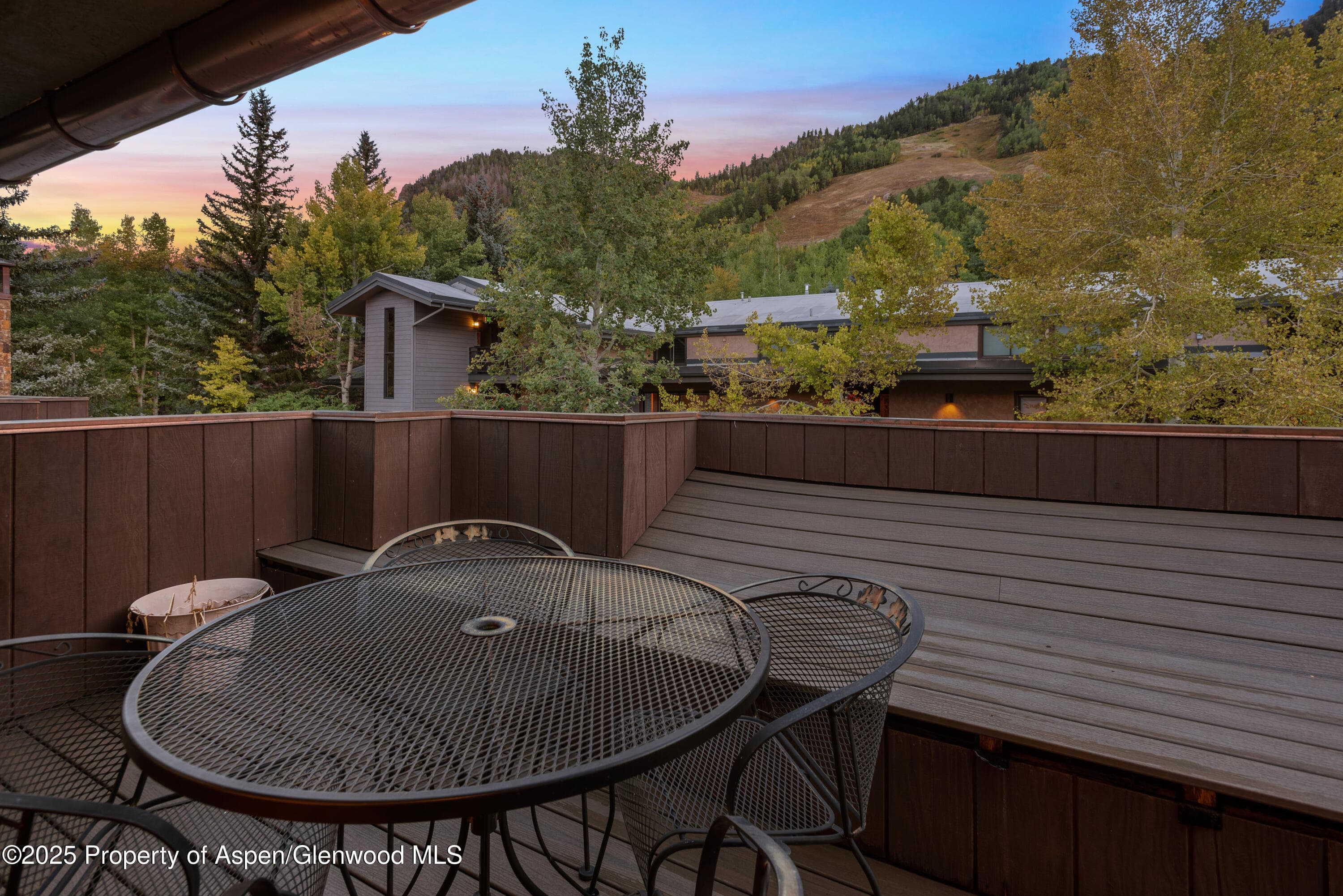 650 S Monarch Street Unit 4, Aspen, CO 81611 - Photo 20