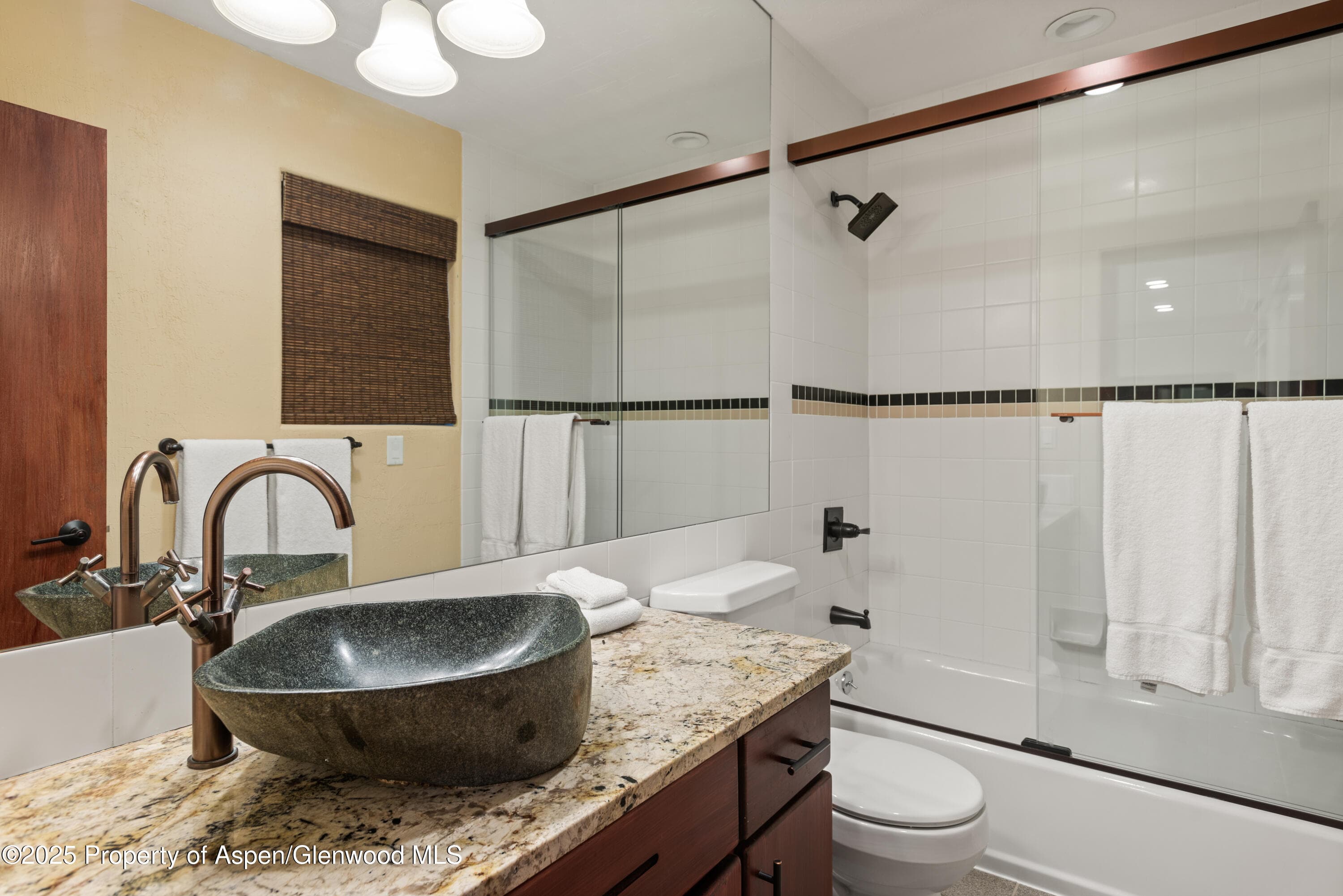 650 S Monarch Street Unit 4, Aspen, CO 81611 - Photo 27