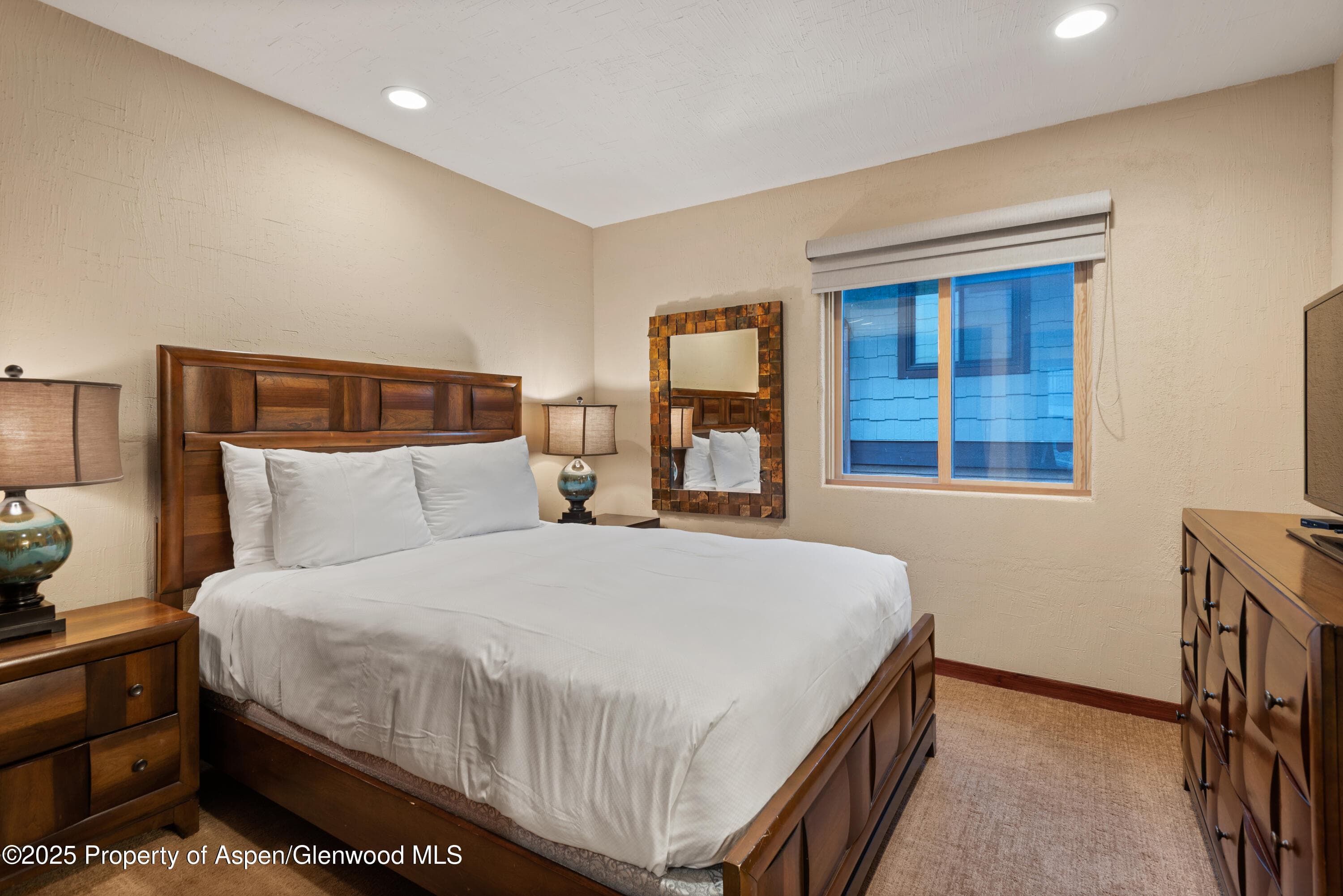 650 S Monarch Street Unit 4, Aspen, CO 81611 - Photo 28
