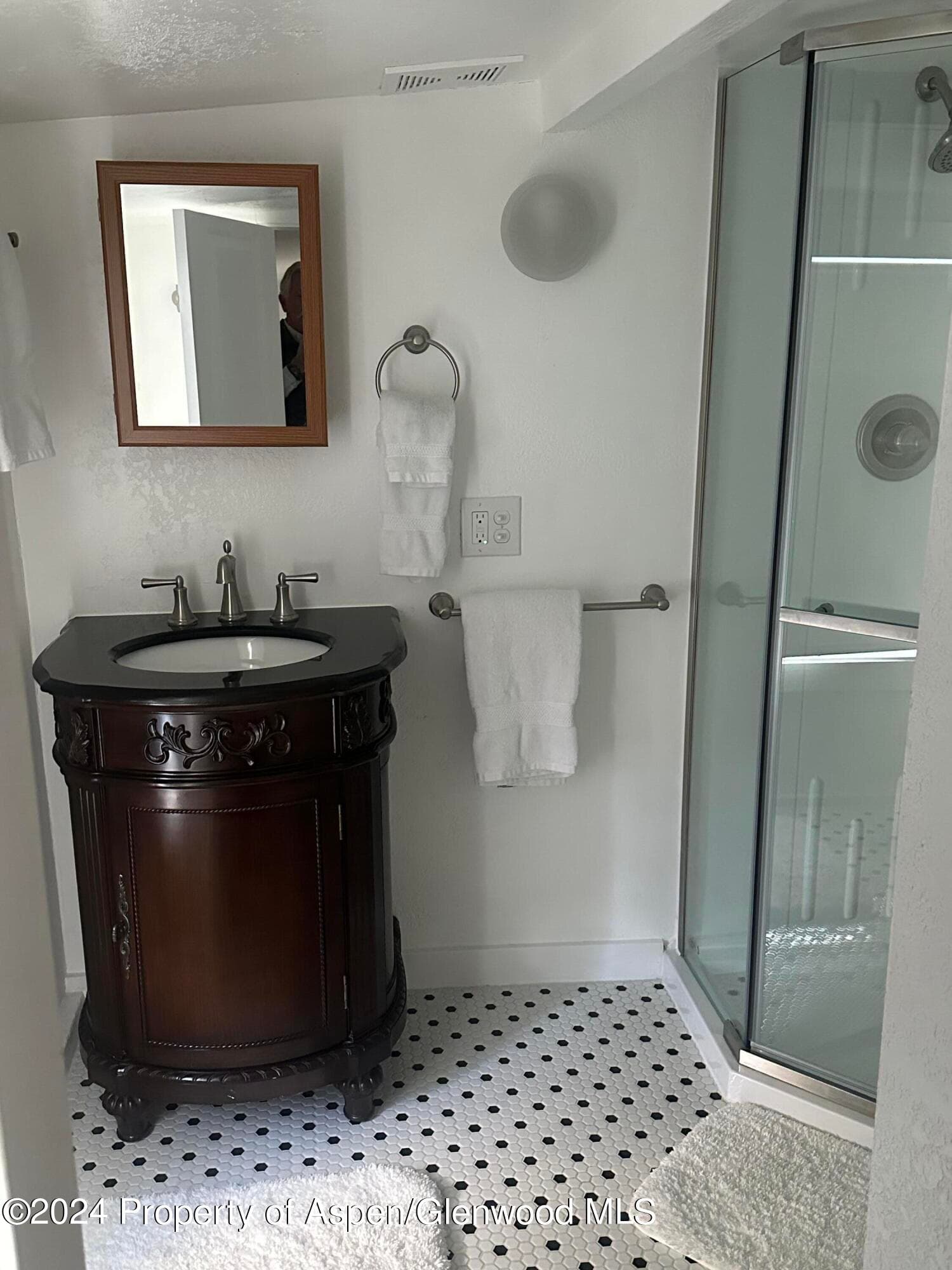 560 Spruce Street, Aspen, CO 81611 - Photo 28
