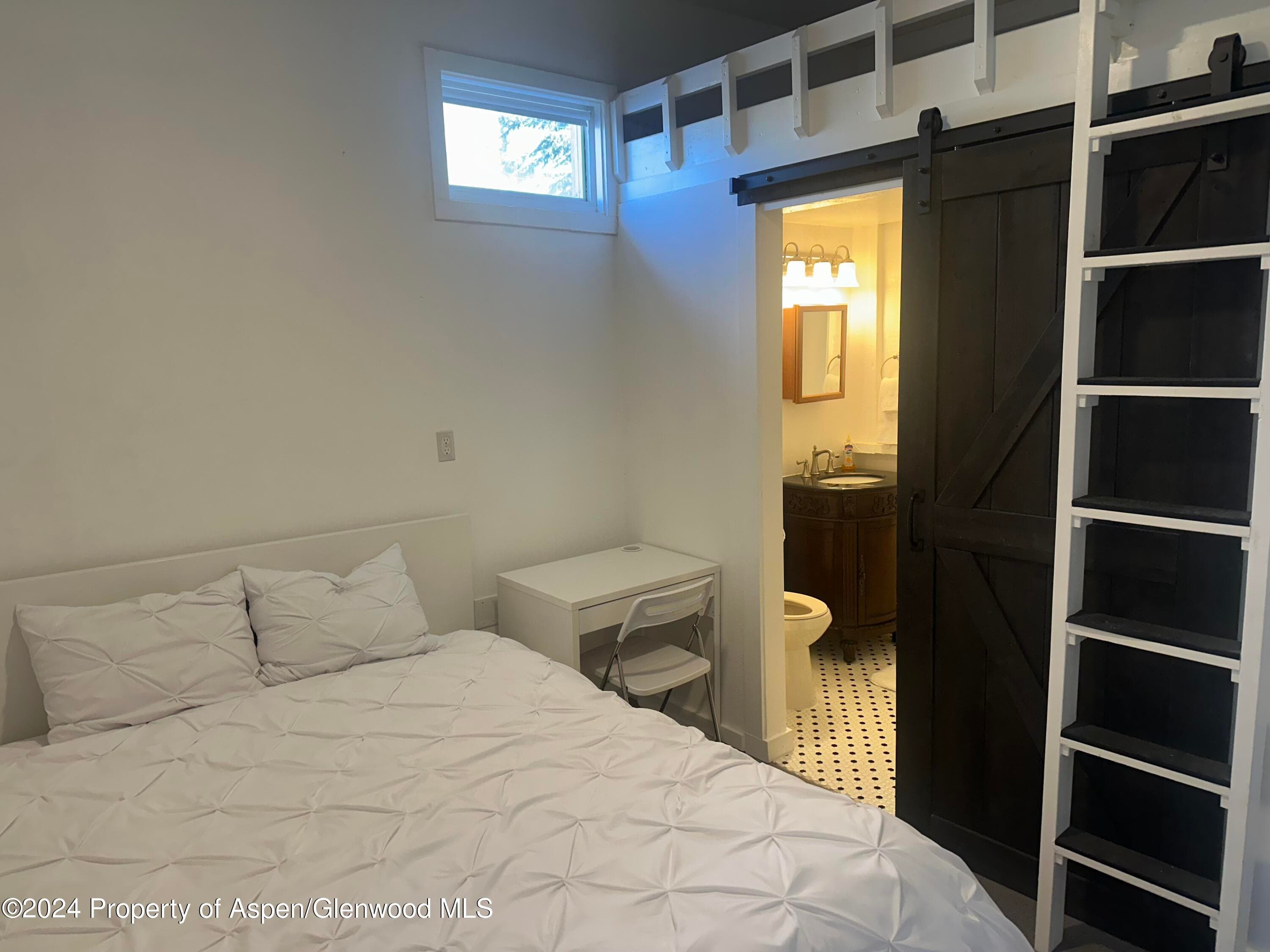 560 Spruce Street, Aspen, CO 81611 - Photo 29
