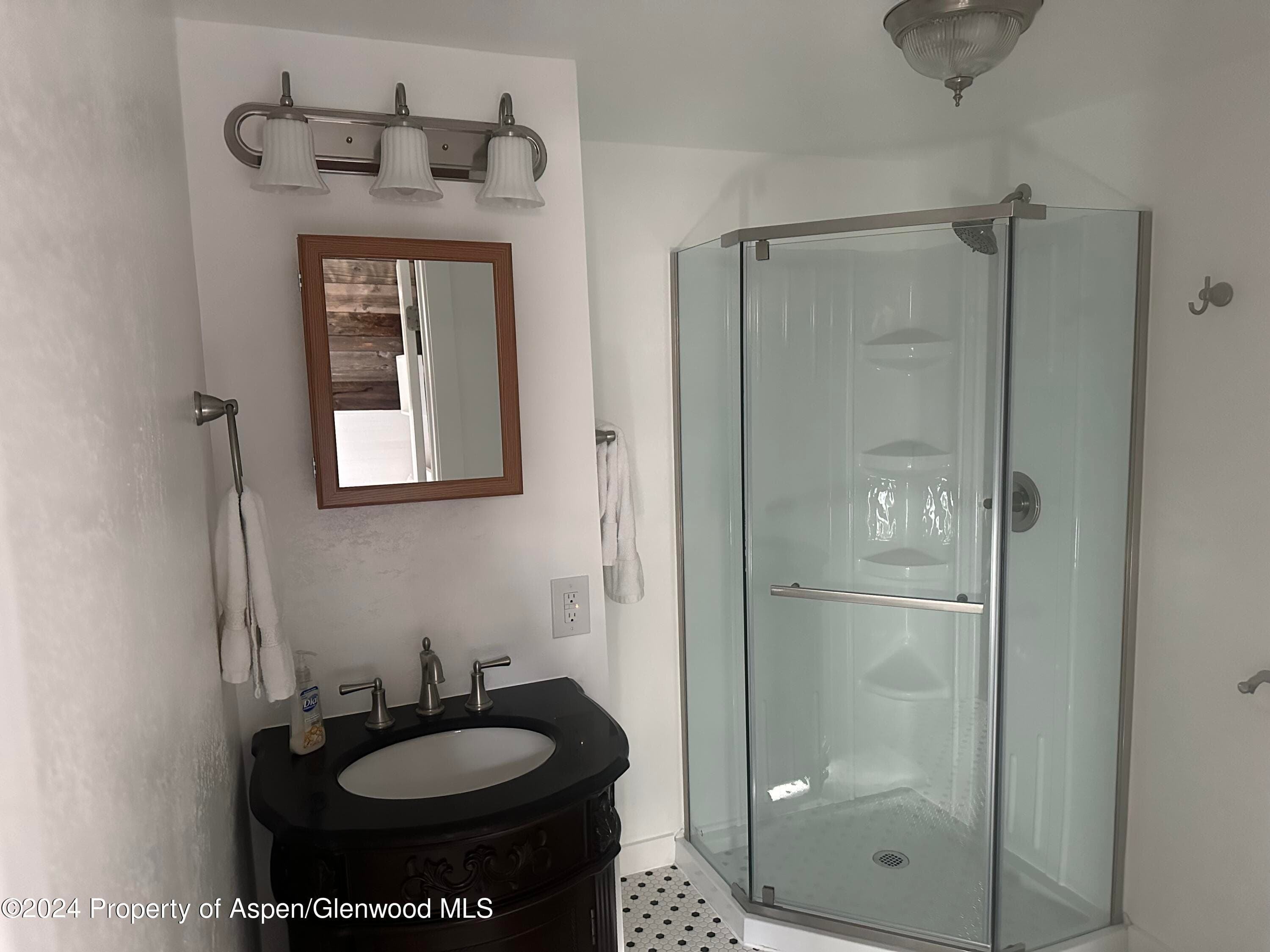 560 Spruce Street, Aspen, CO 81611 - Photo 31