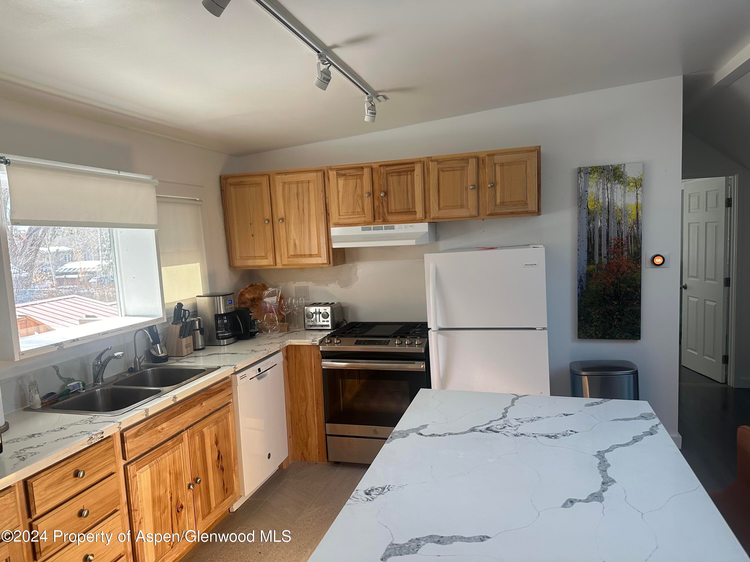 560 Spruce Street, Aspen, CO 81611 - Photo 40