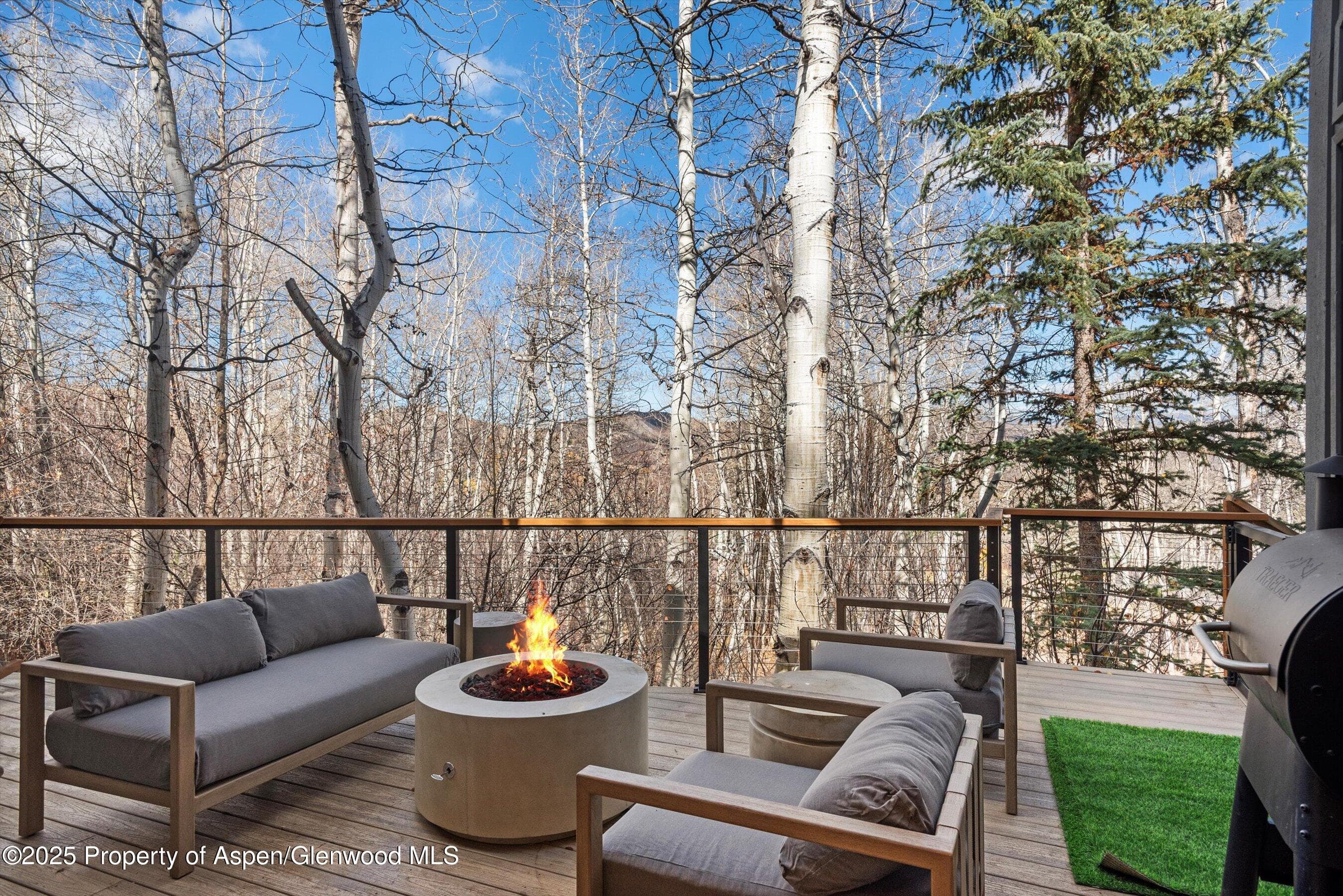 626 Faraway Road, Snowmass Village, CO 81615 - Photo 20