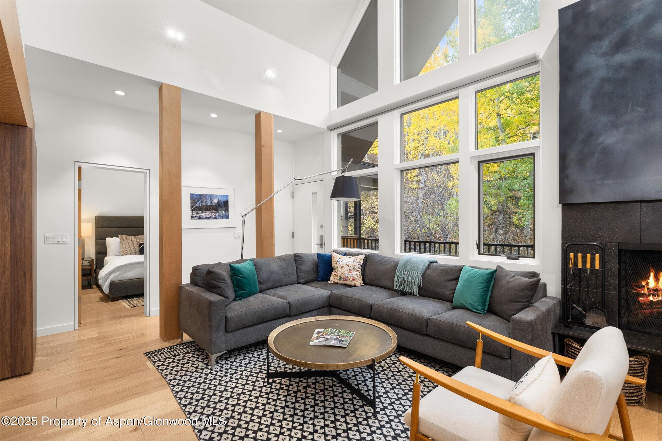 800 S Mill Street 303C, Aspen, CO 81611 - Photo 2