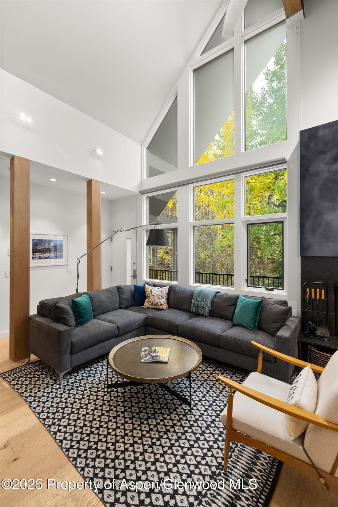 800 S Mill Street 303C, Aspen, CO 81611 - Photo 4
