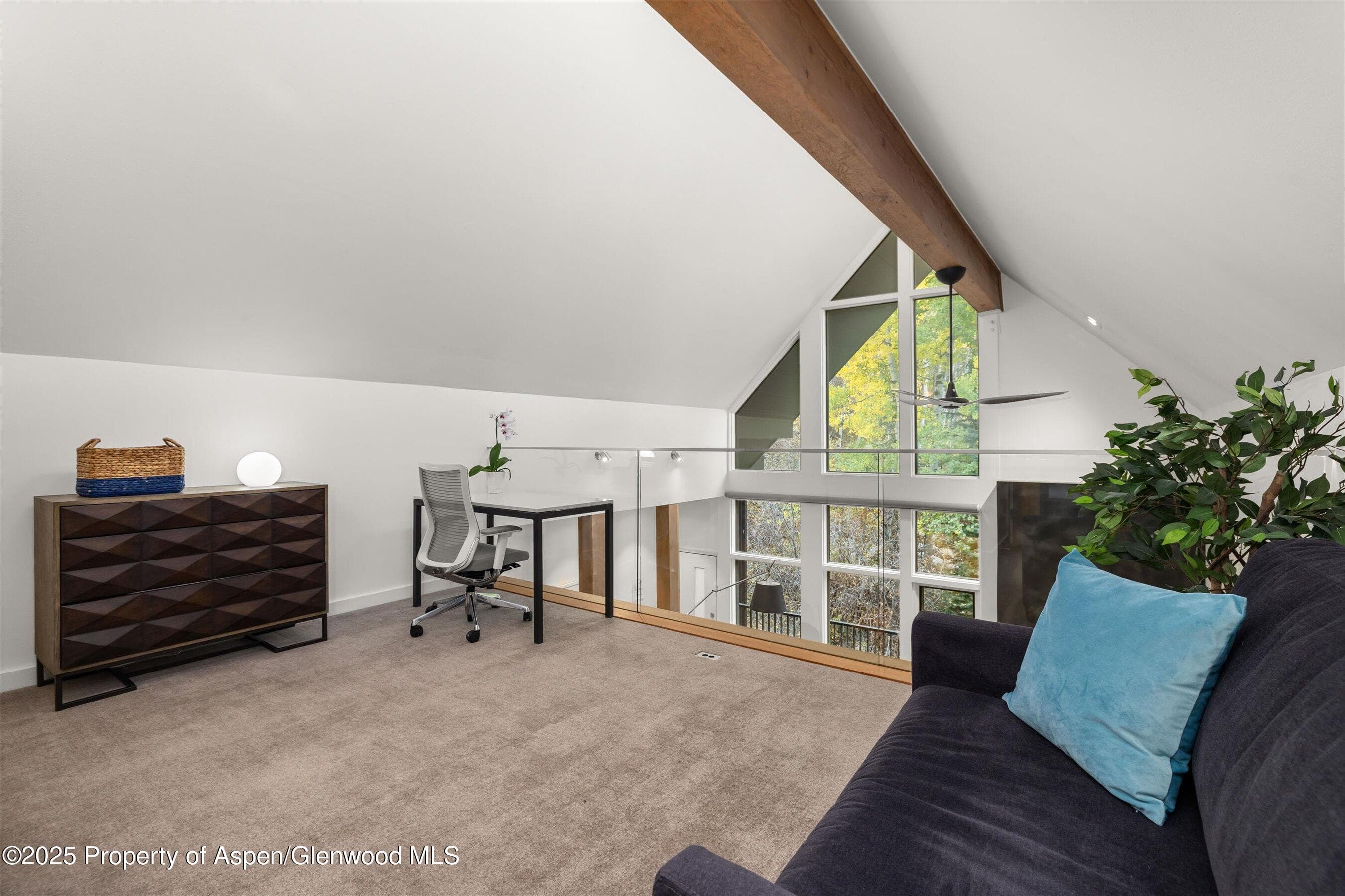 800 S Mill Street 303C, Aspen, CO 81611 - Photo 25