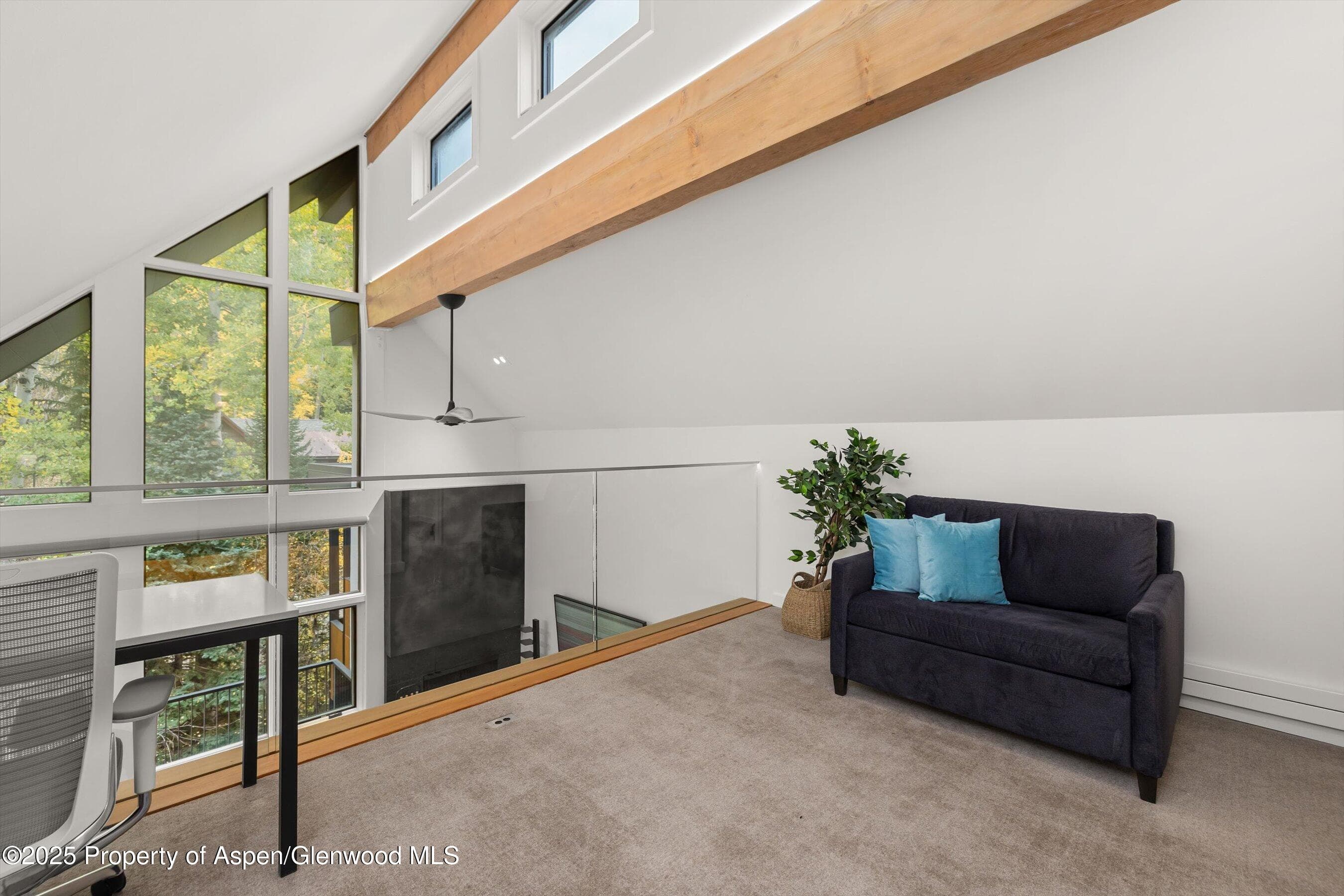 800 S Mill Street 303C, Aspen, CO 81611 - Photo 27