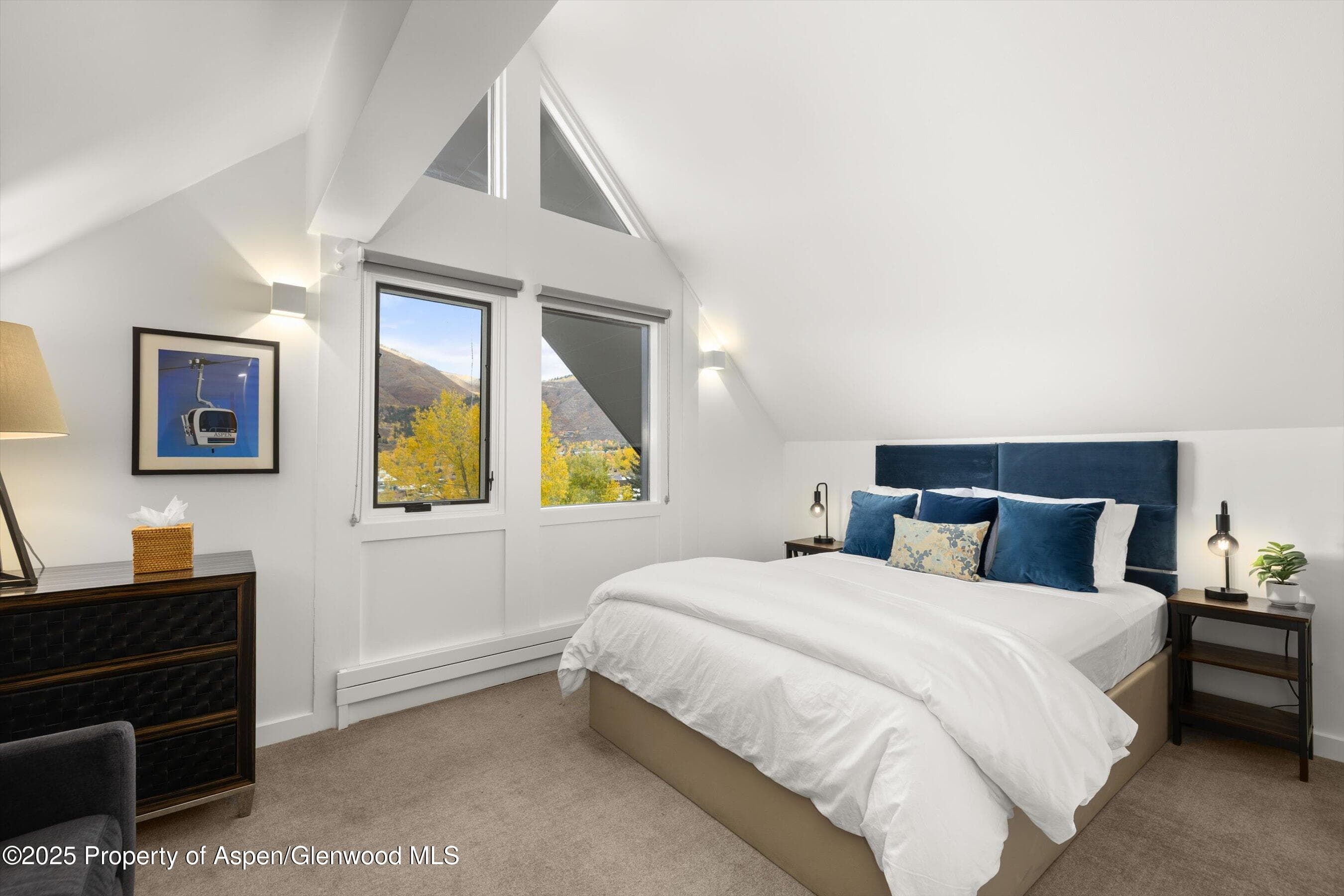 800 S Mill Street 303C, Aspen, CO 81611 - Photo 20