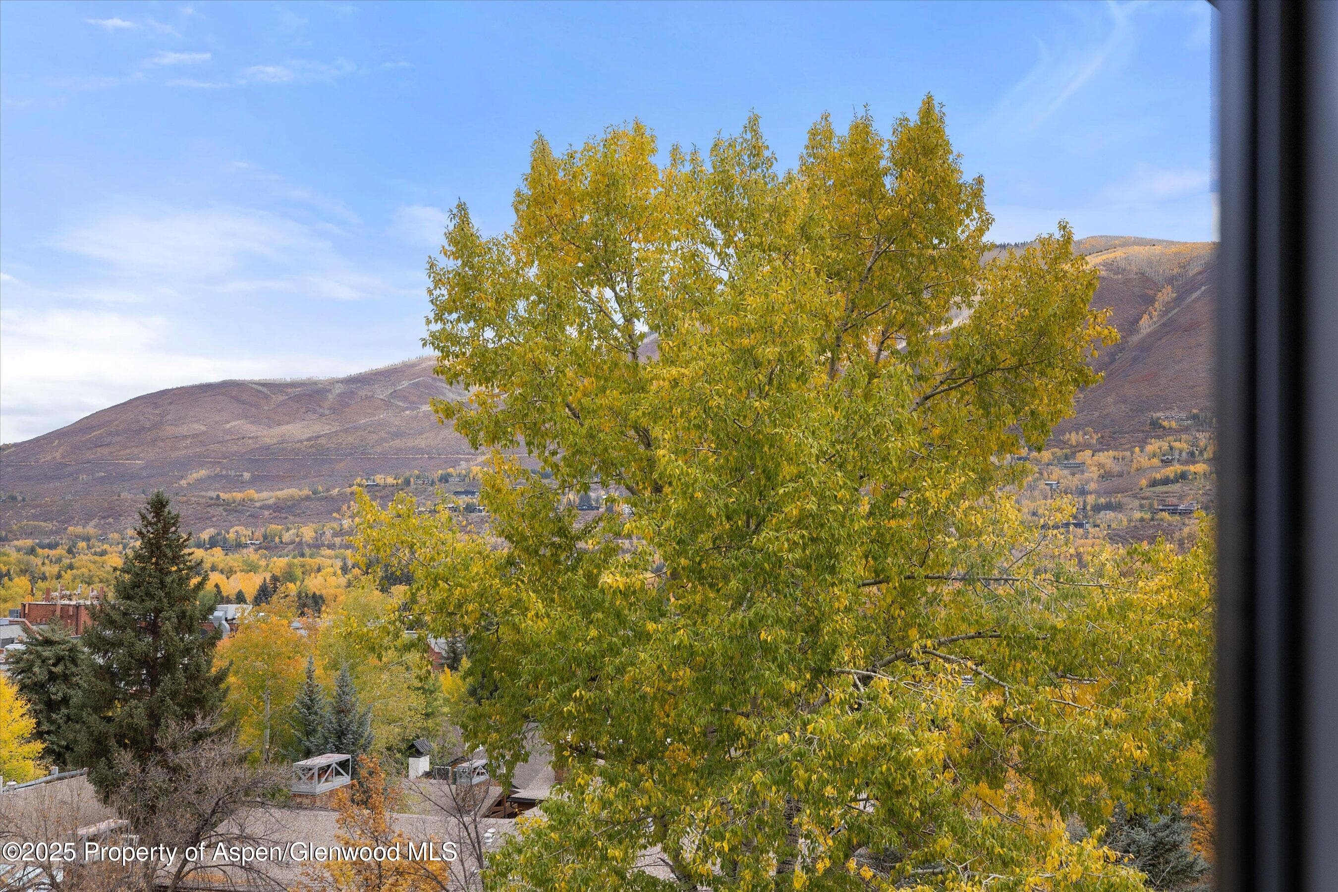 800 S Mill Street 303C, Aspen, CO 81611 - Photo 29