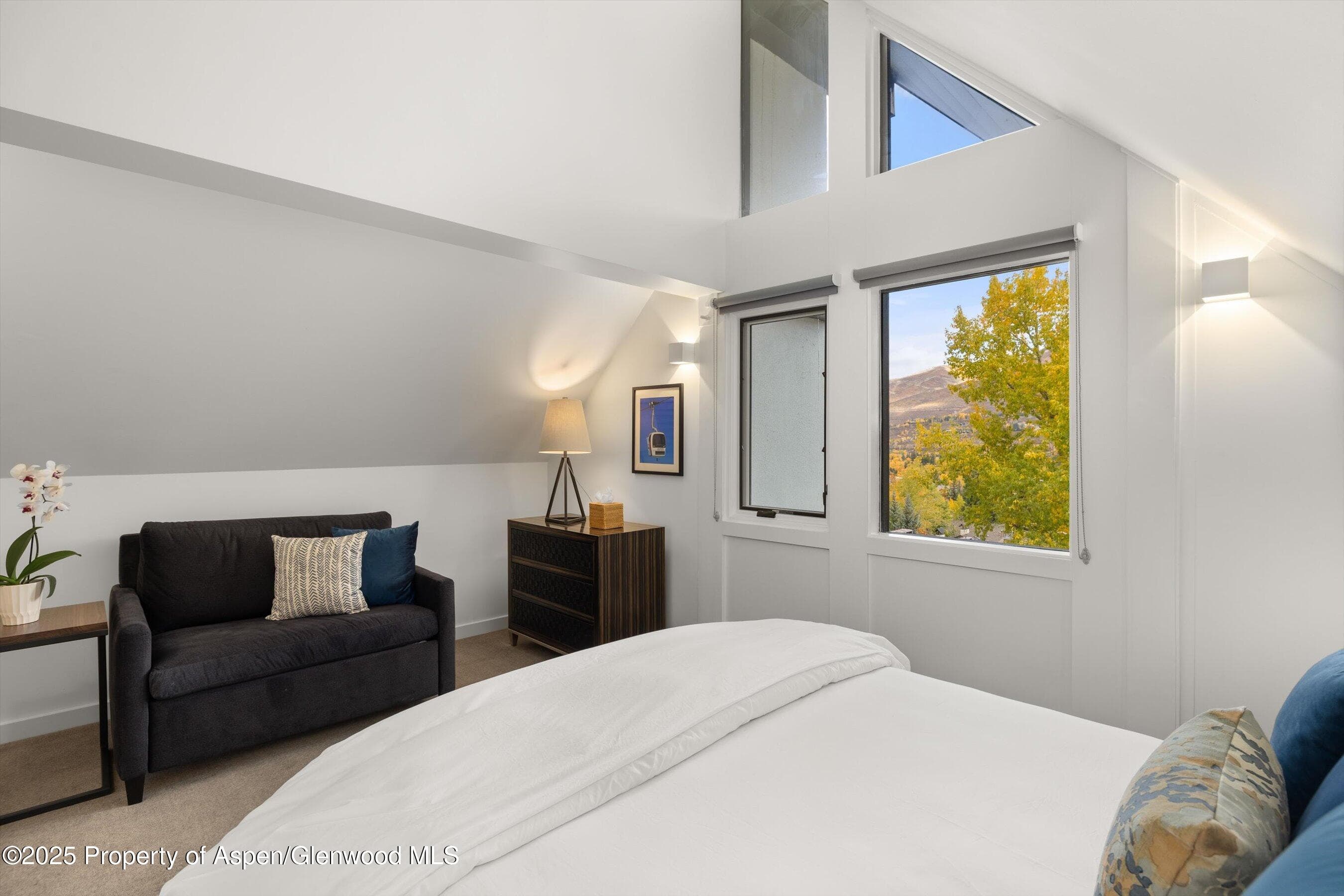 800 S Mill Street 303C, Aspen, CO 81611 - Photo 21