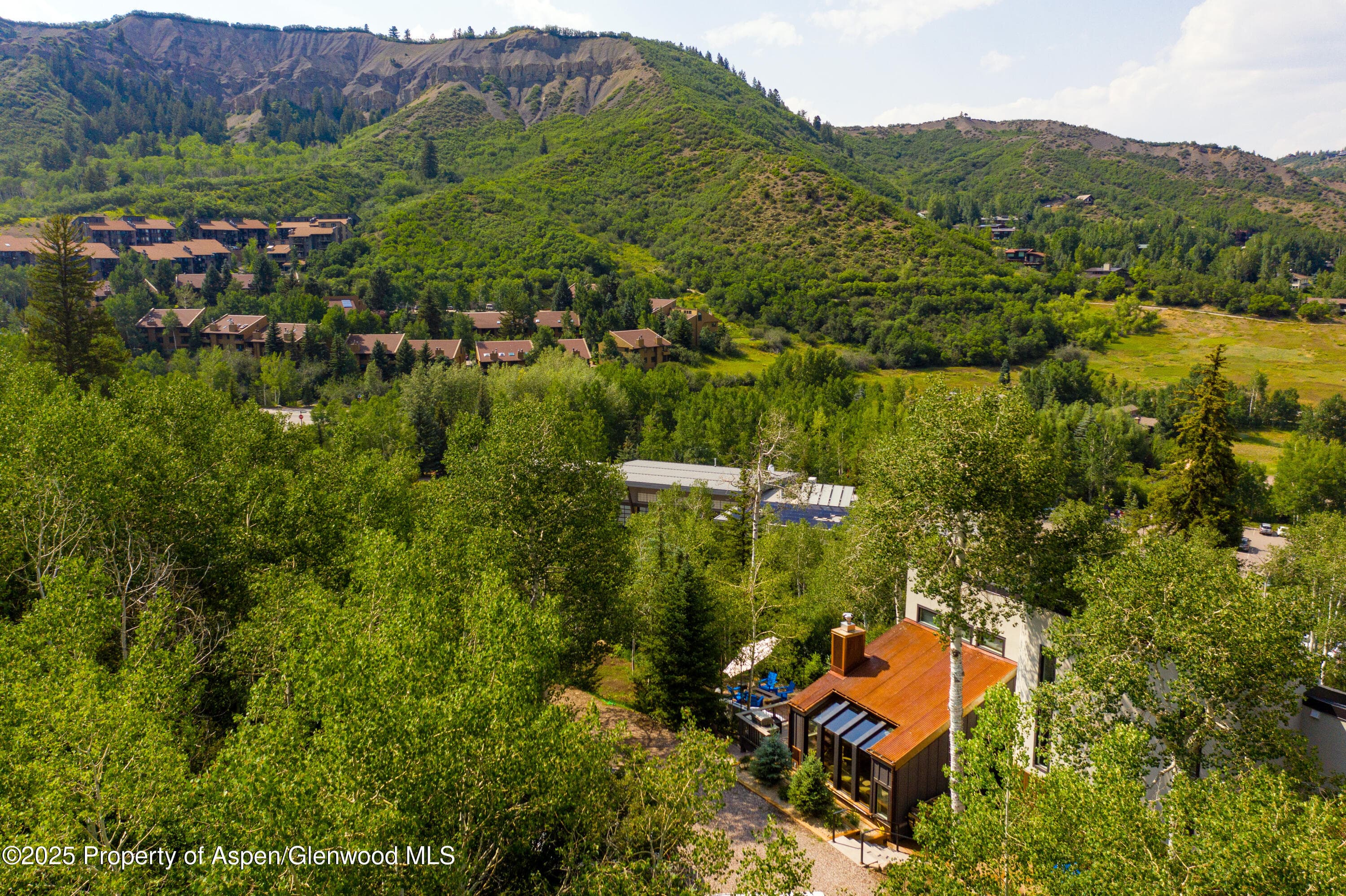 145 N Ridge Lane 2, Snowmass Village, CO 81615 - Photo 2