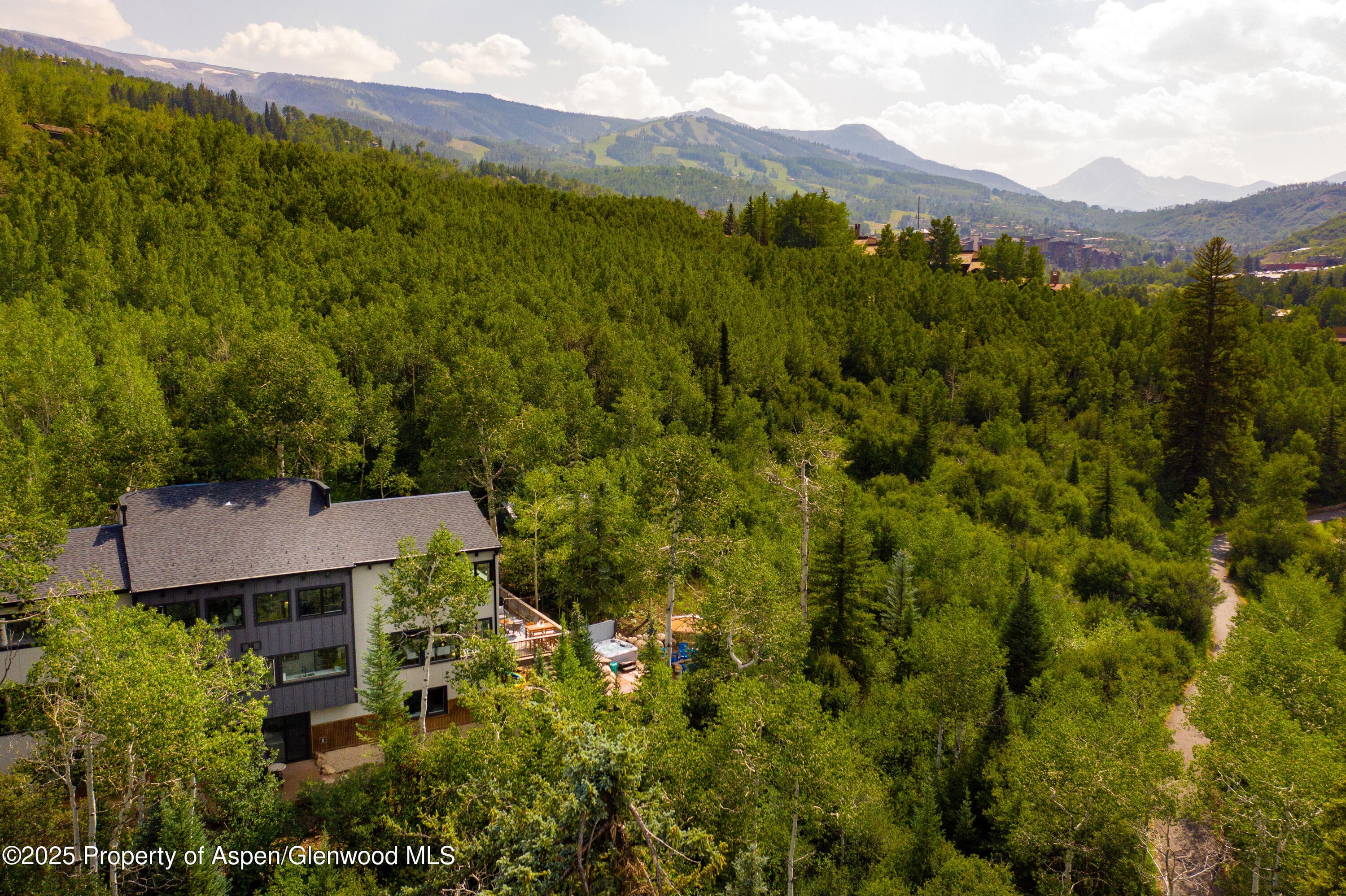 145 N Ridge Lane 2, Snowmass Village, CO 81615 - Photo 8