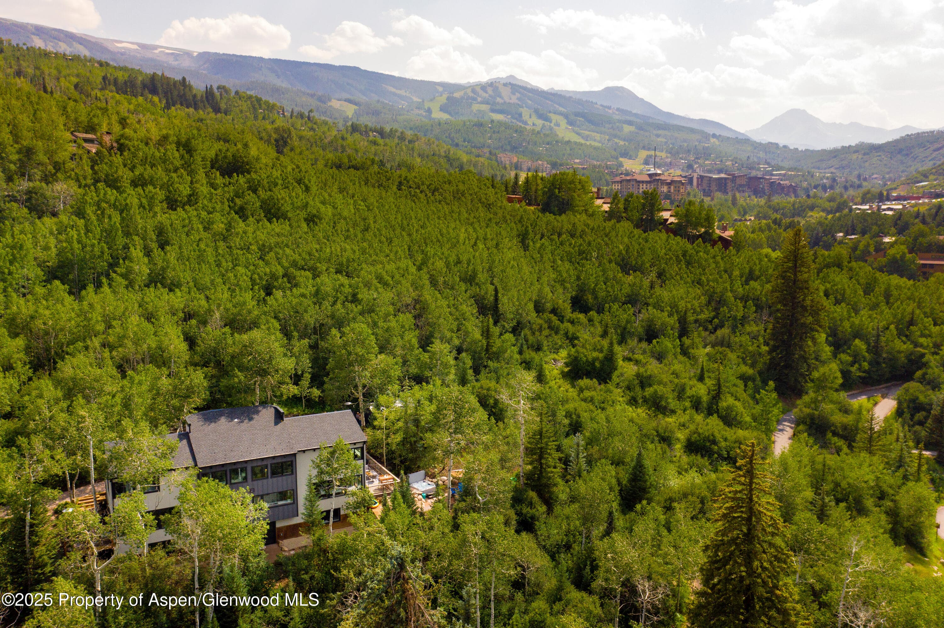 145 N Ridge Lane 2, Snowmass Village, CO 81615 - Photo 9