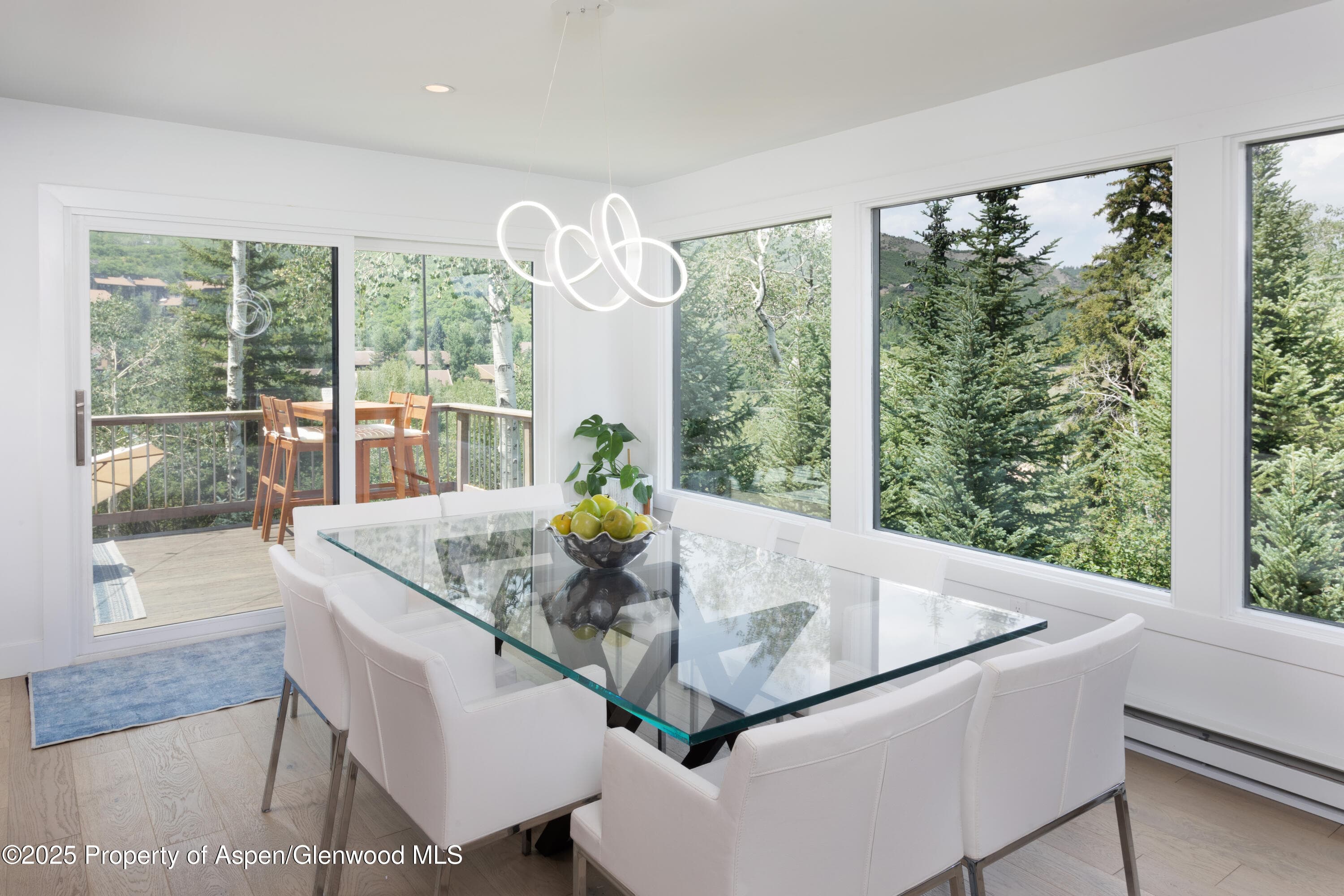 145 N Ridge Lane 2, Snowmass Village, CO 81615 - Photo 11