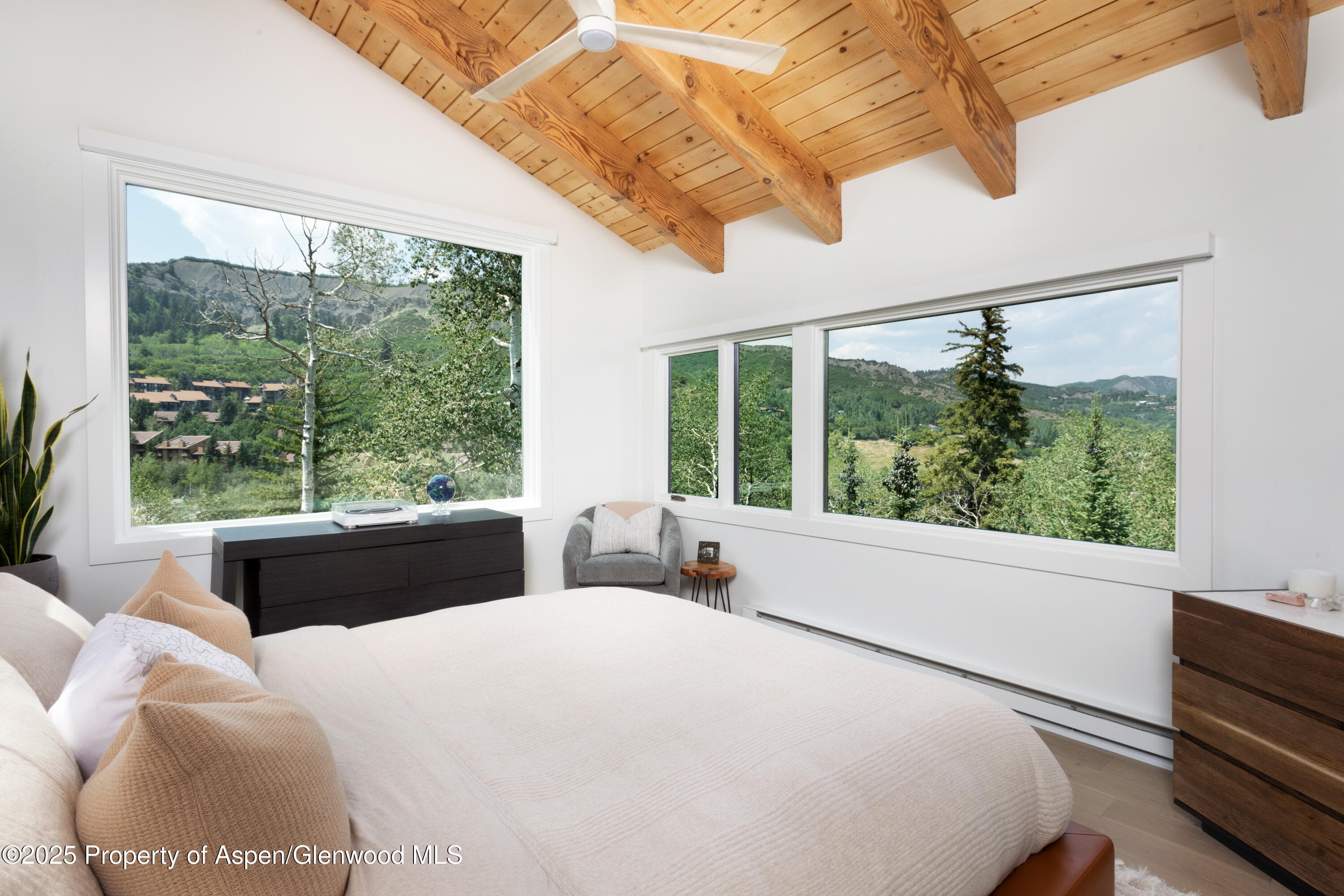 145 N Ridge Lane 2, Snowmass Village, CO 81615 - Photo 13