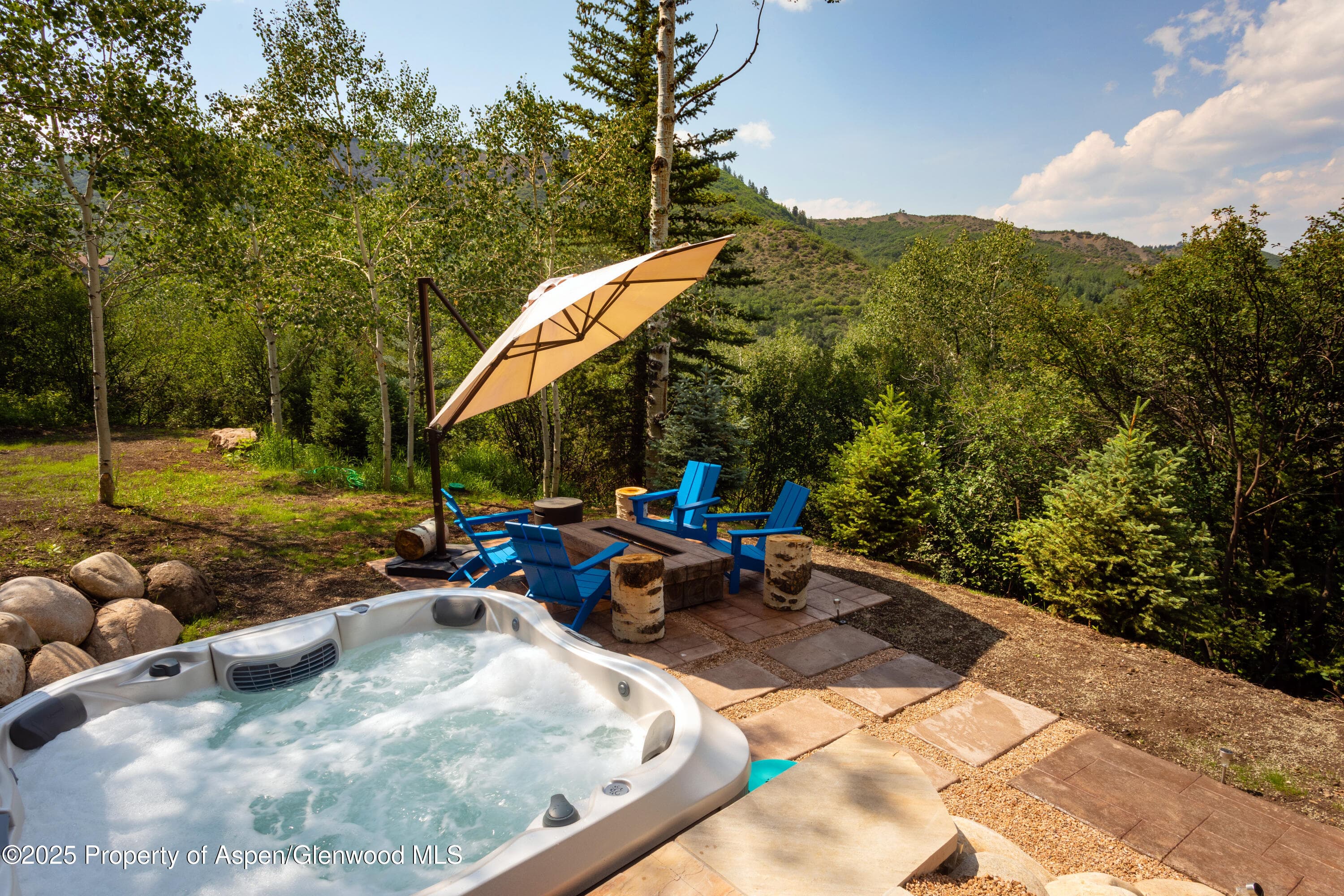 145 N Ridge Lane 2, Snowmass Village, CO 81615 - Photo 22