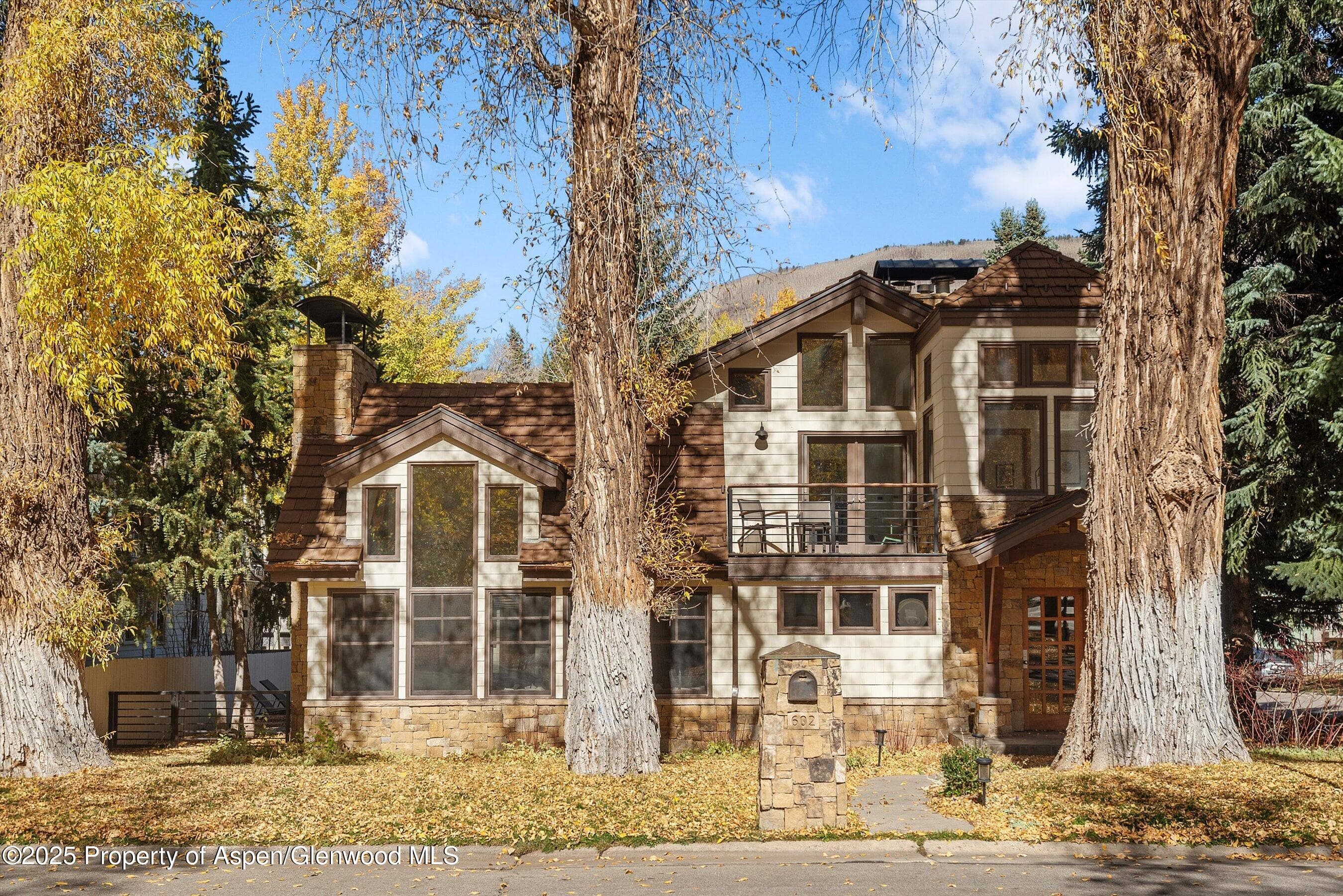 602 W Hallam Street, Aspen, CO 81611 - Photo 2