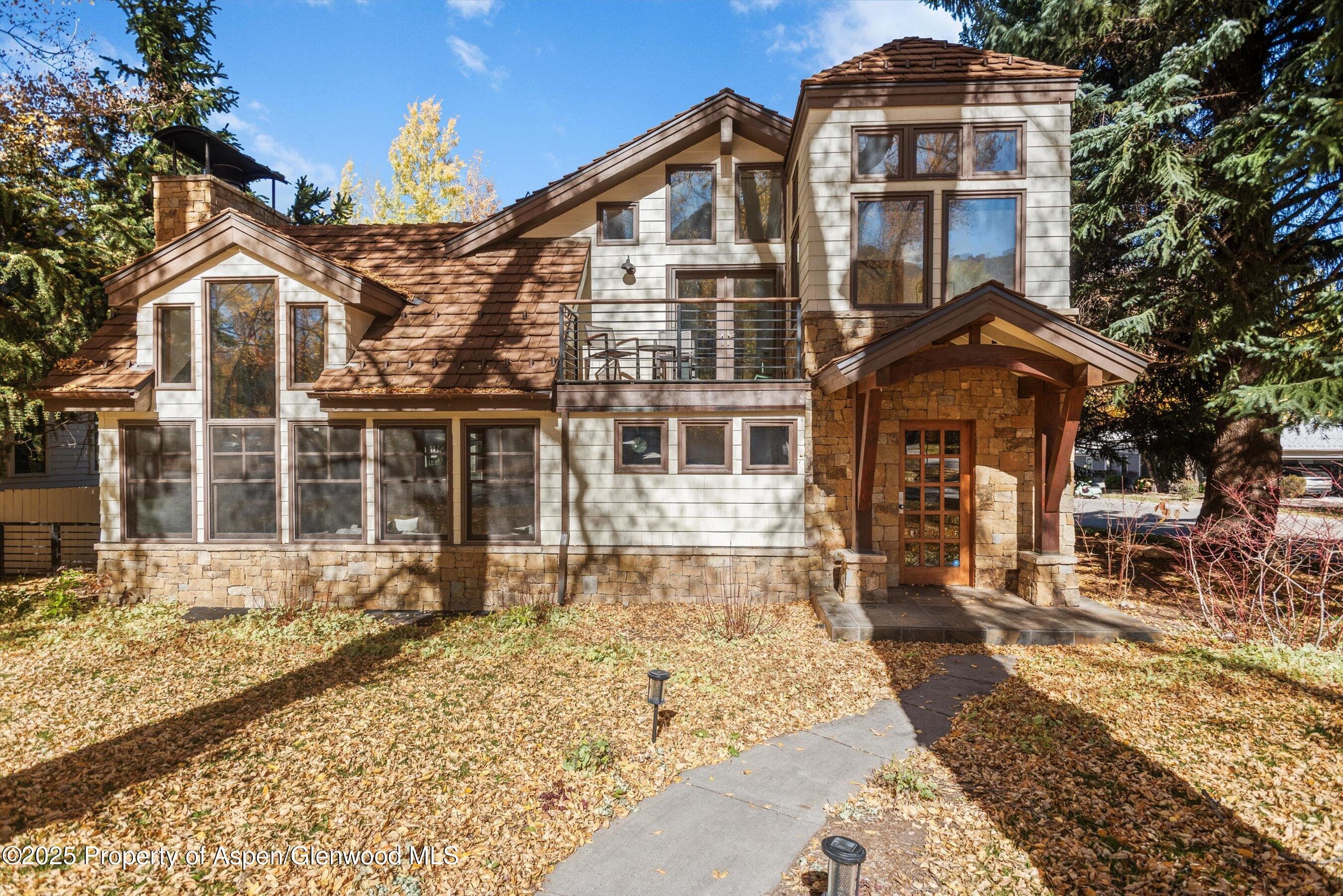 602 W Hallam Street, Aspen, CO 81611 - Photo 4