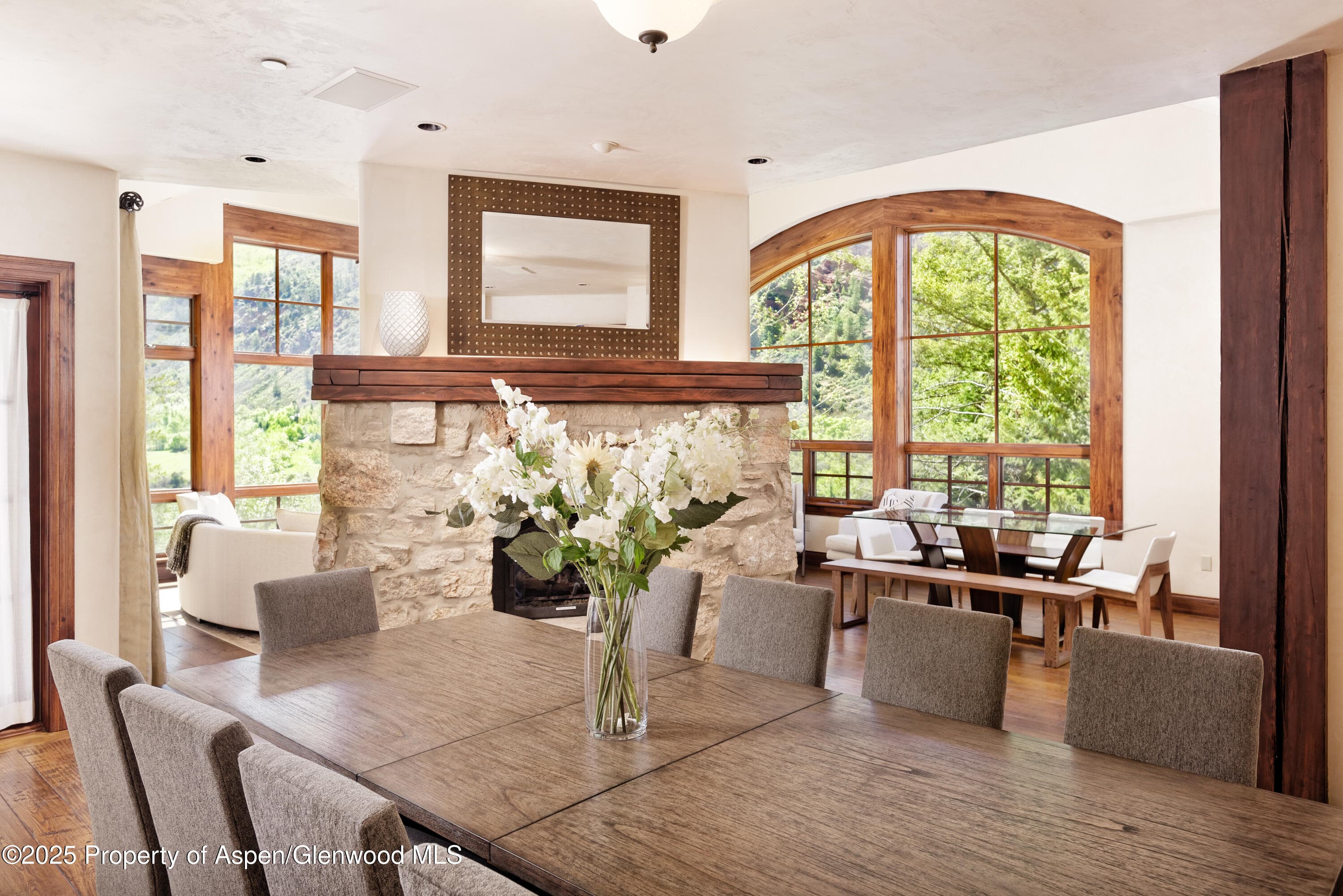 388 Exhibition Lane, Aspen, CO 81611 - Photo 6