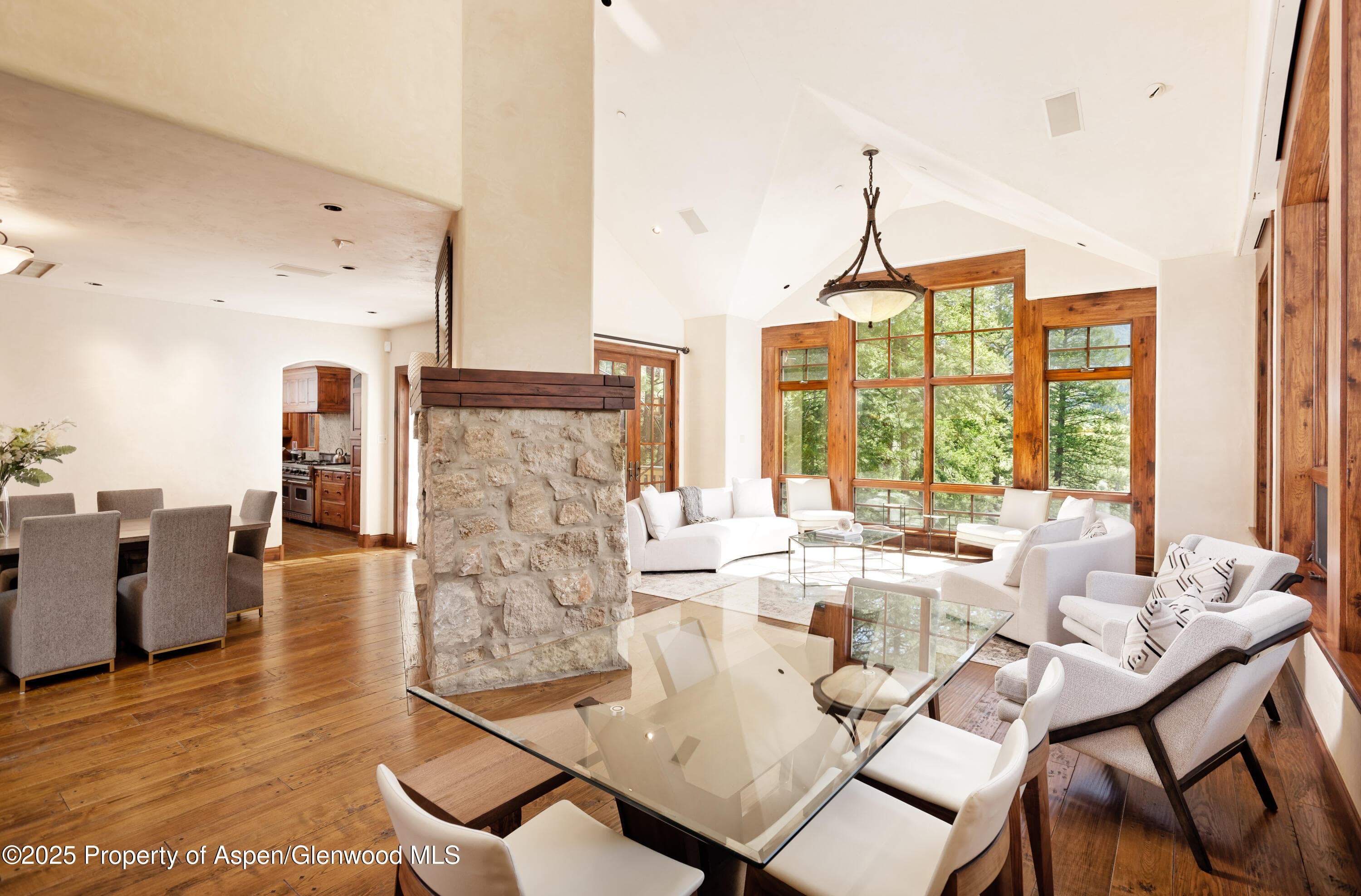 388 Exhibition Lane, Aspen, CO 81611 - Photo 7