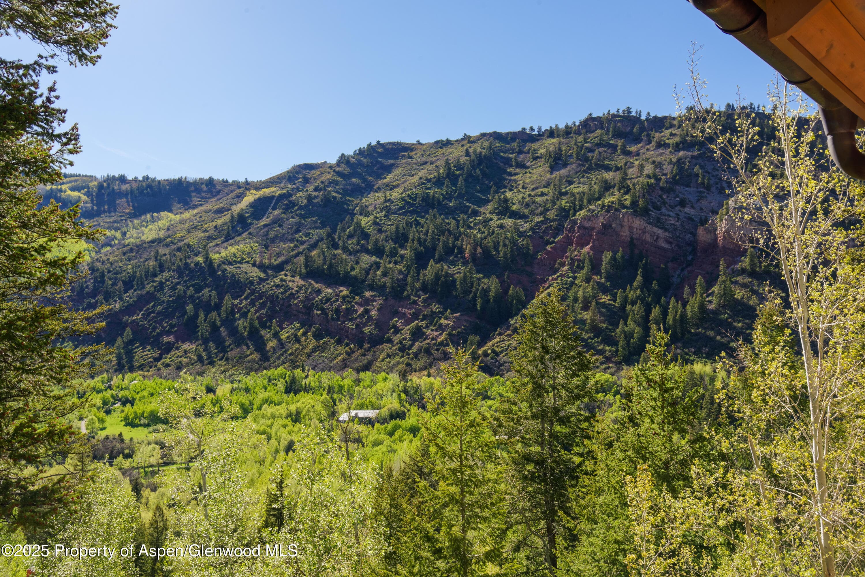 388 Exhibition Lane, Aspen, CO 81611 - Photo 24