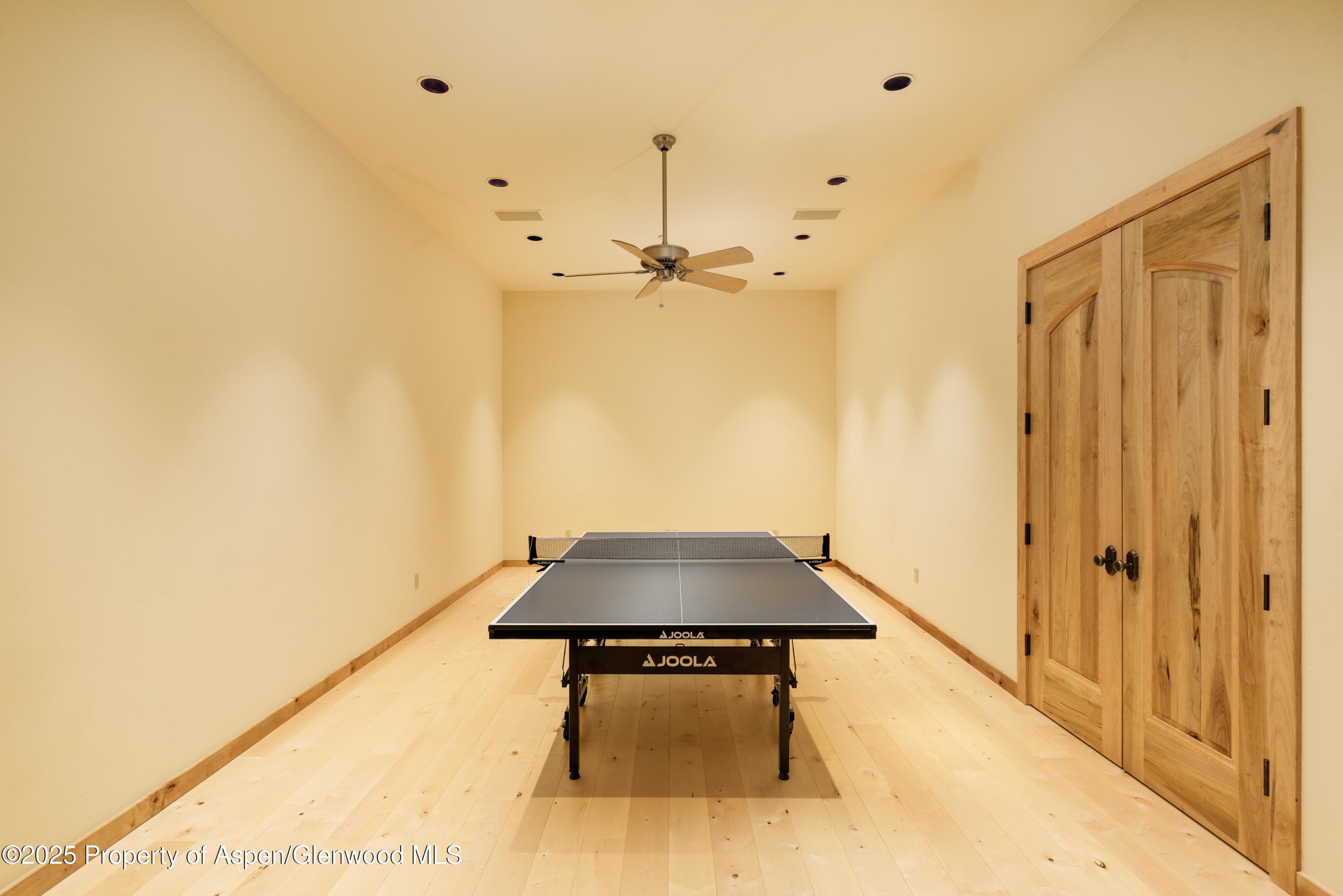 388 Exhibition Lane, Aspen, CO 81611 - Photo 25