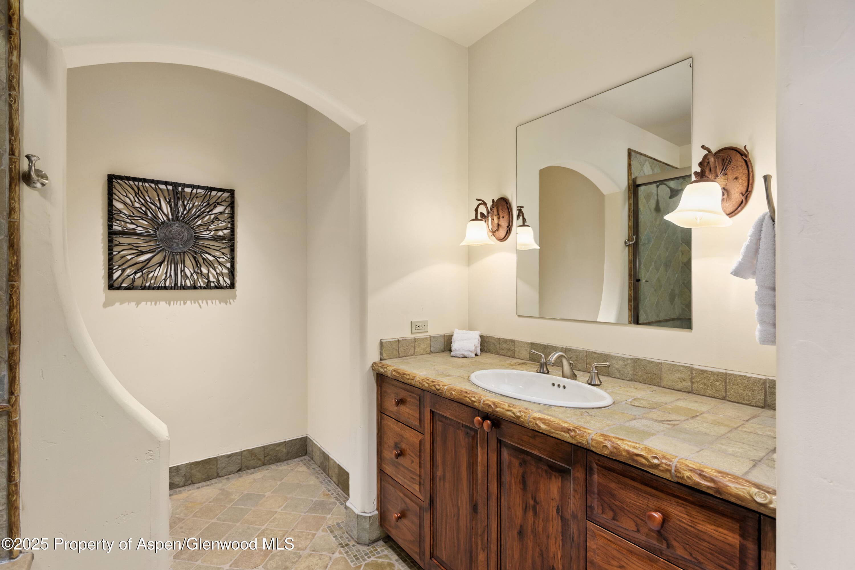 388 Exhibition Lane, Aspen, CO 81611 - Photo 31