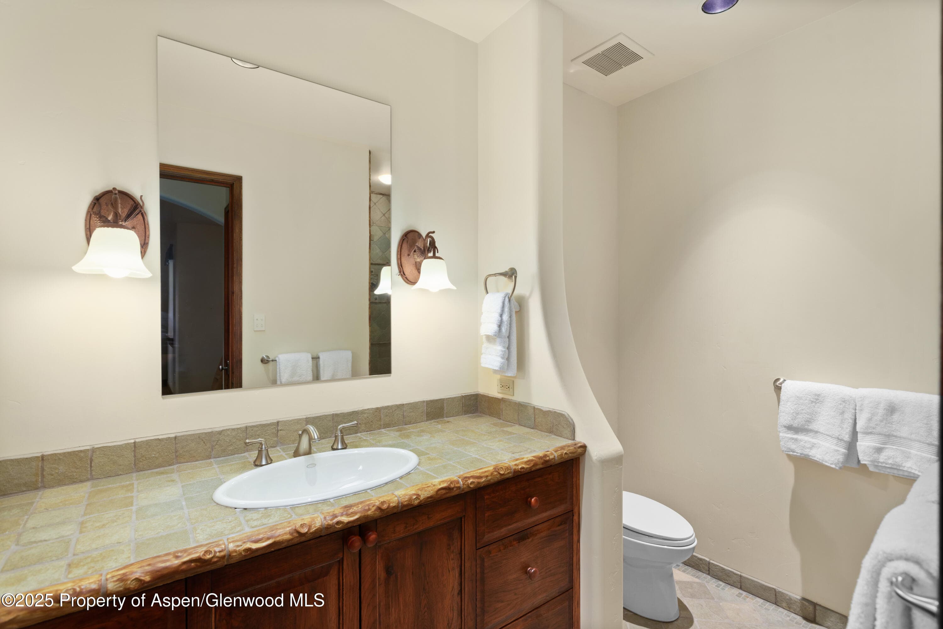 388 Exhibition Lane, Aspen, CO 81611 - Photo 33