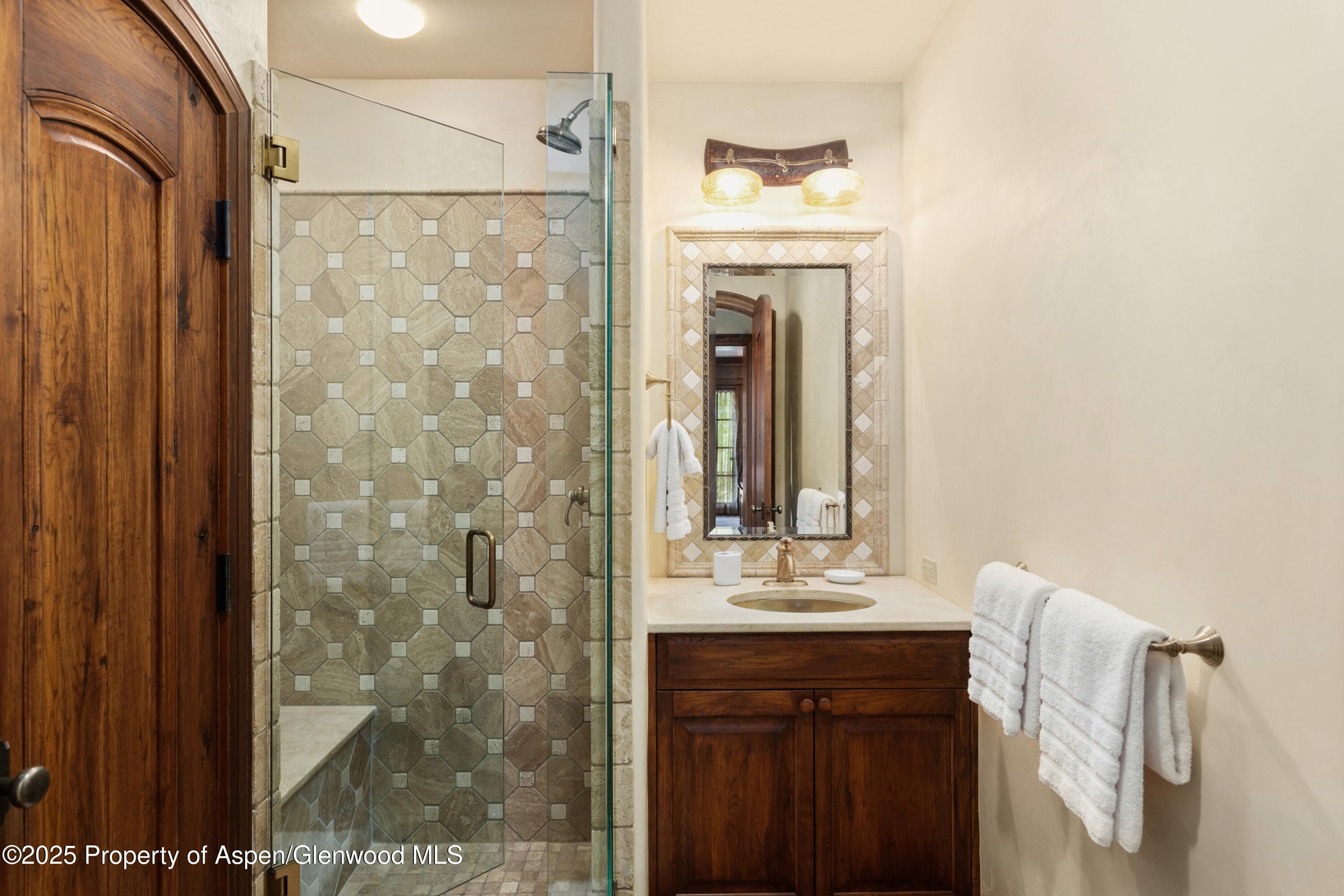 388 Exhibition Lane, Aspen, CO 81611 - Photo 38