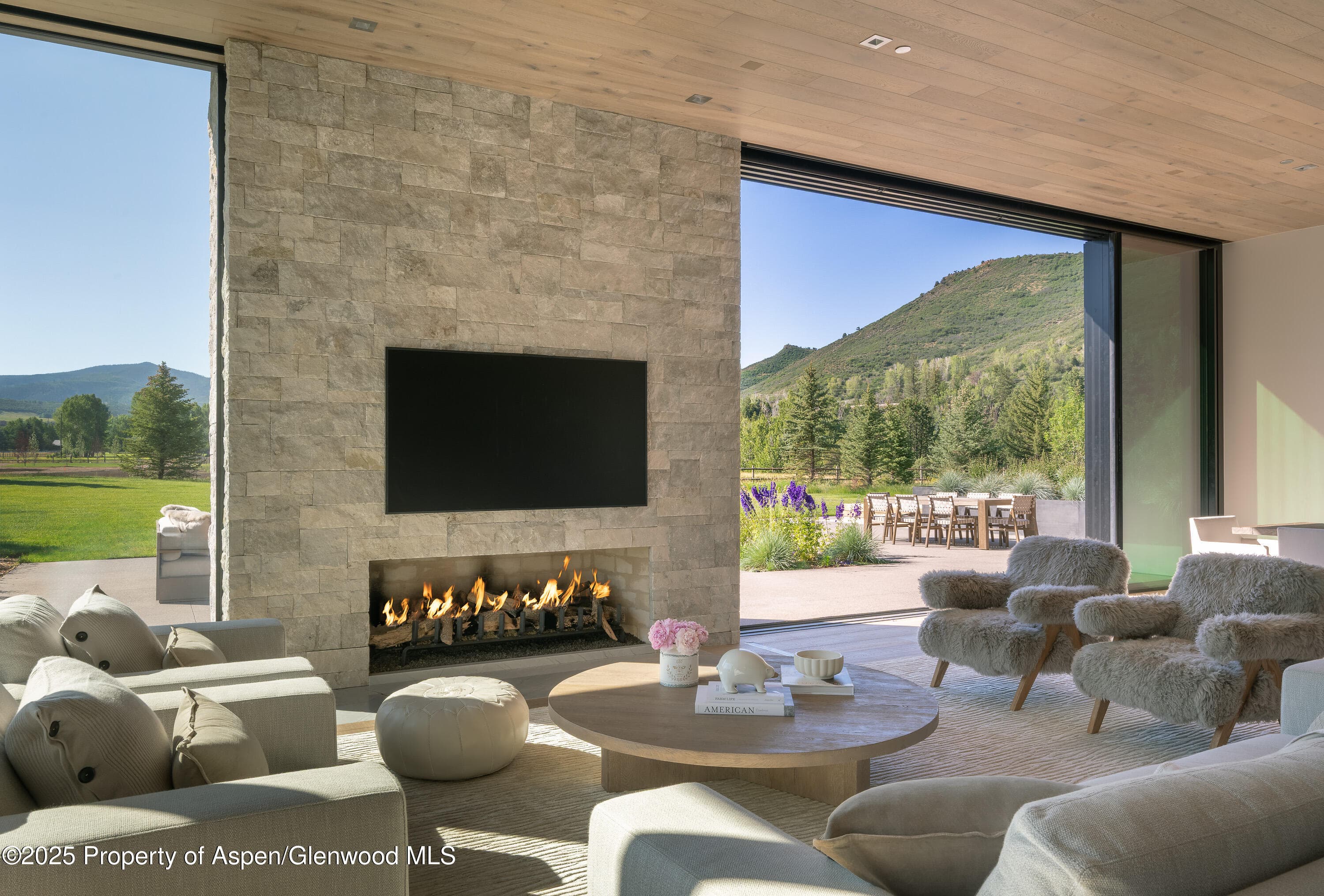 88 Clover Lane, Woody Creek, CO 81656 - Photo 4