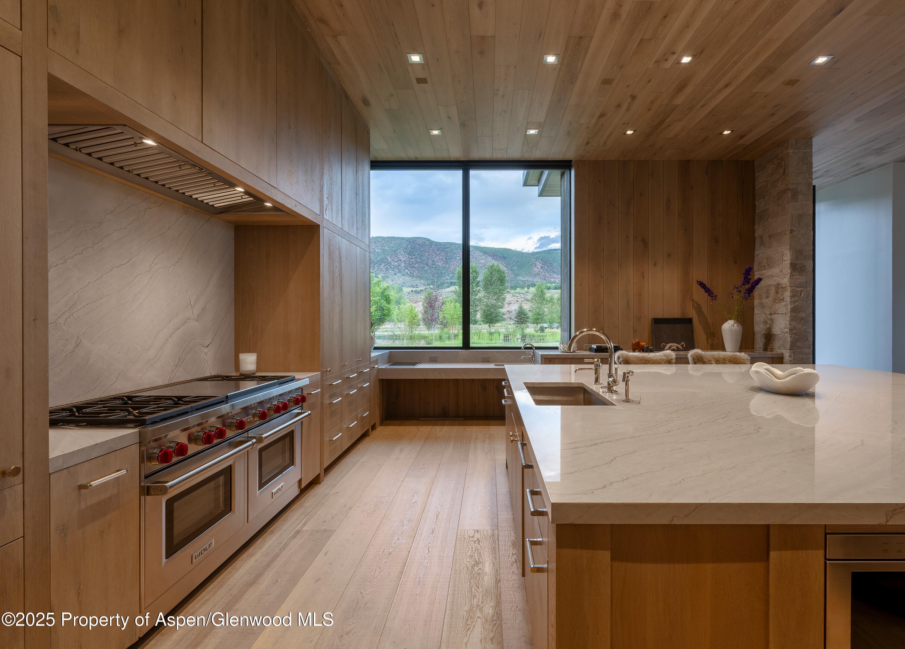 88 Clover Lane, Woody Creek, CO 81656 - Photo 8