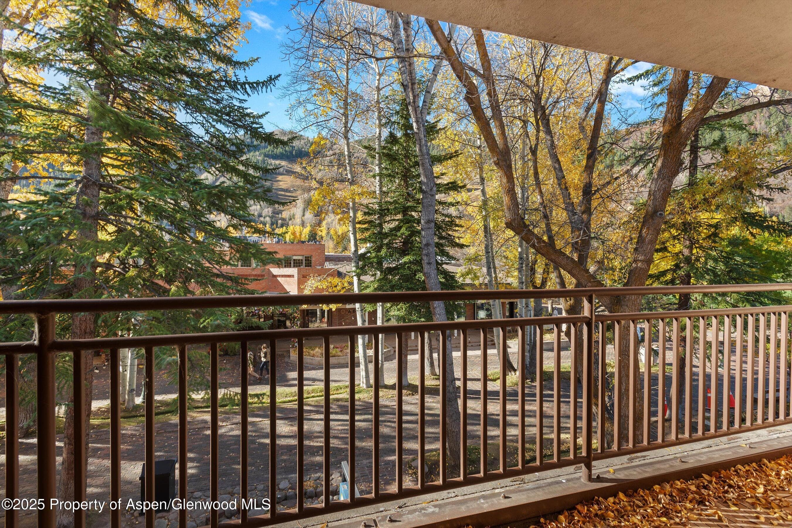 408 E Cooper Avenue, Aspen, CO 81611 - Photo 28