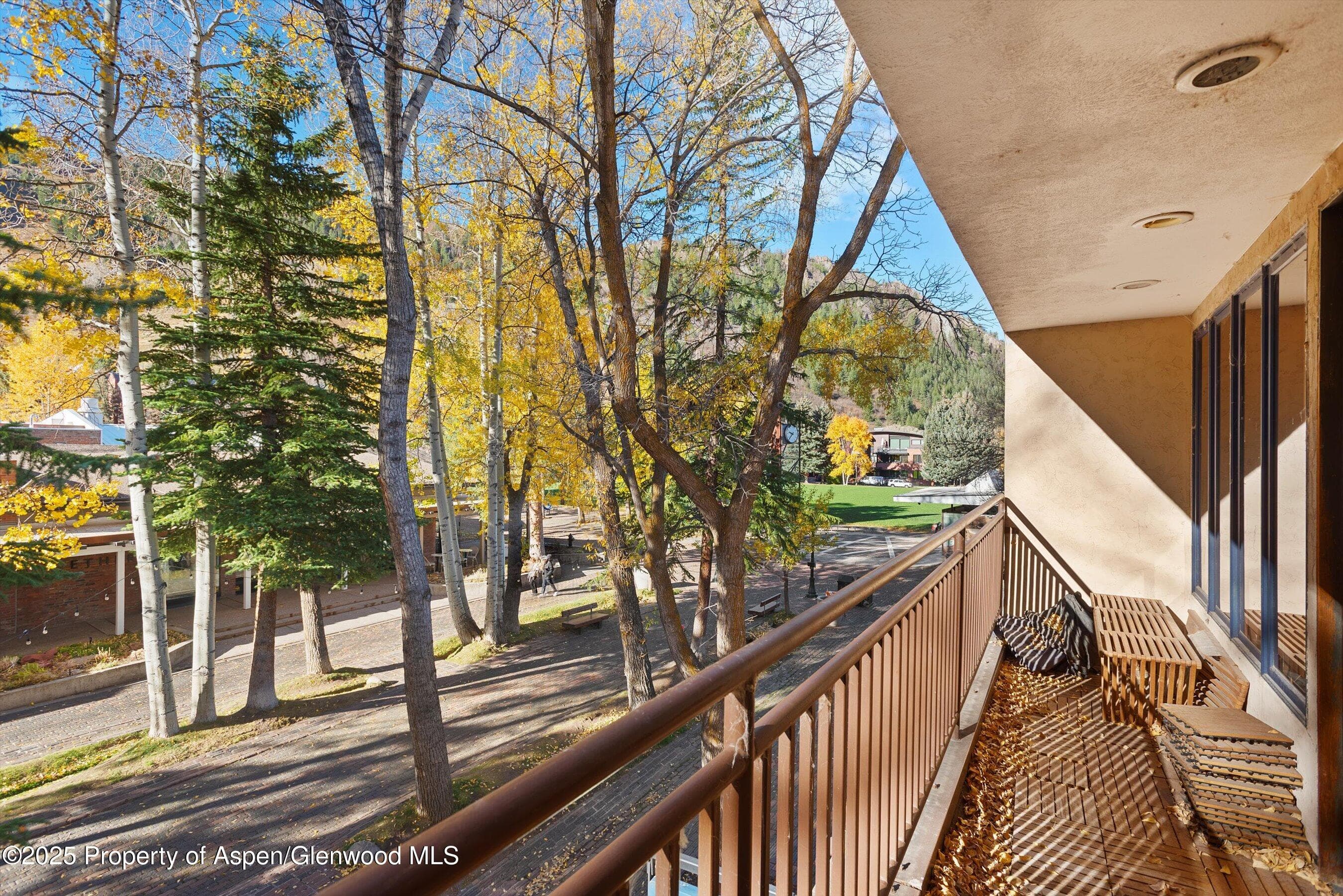 408 E Cooper Avenue, Aspen, CO 81611 - Photo 31