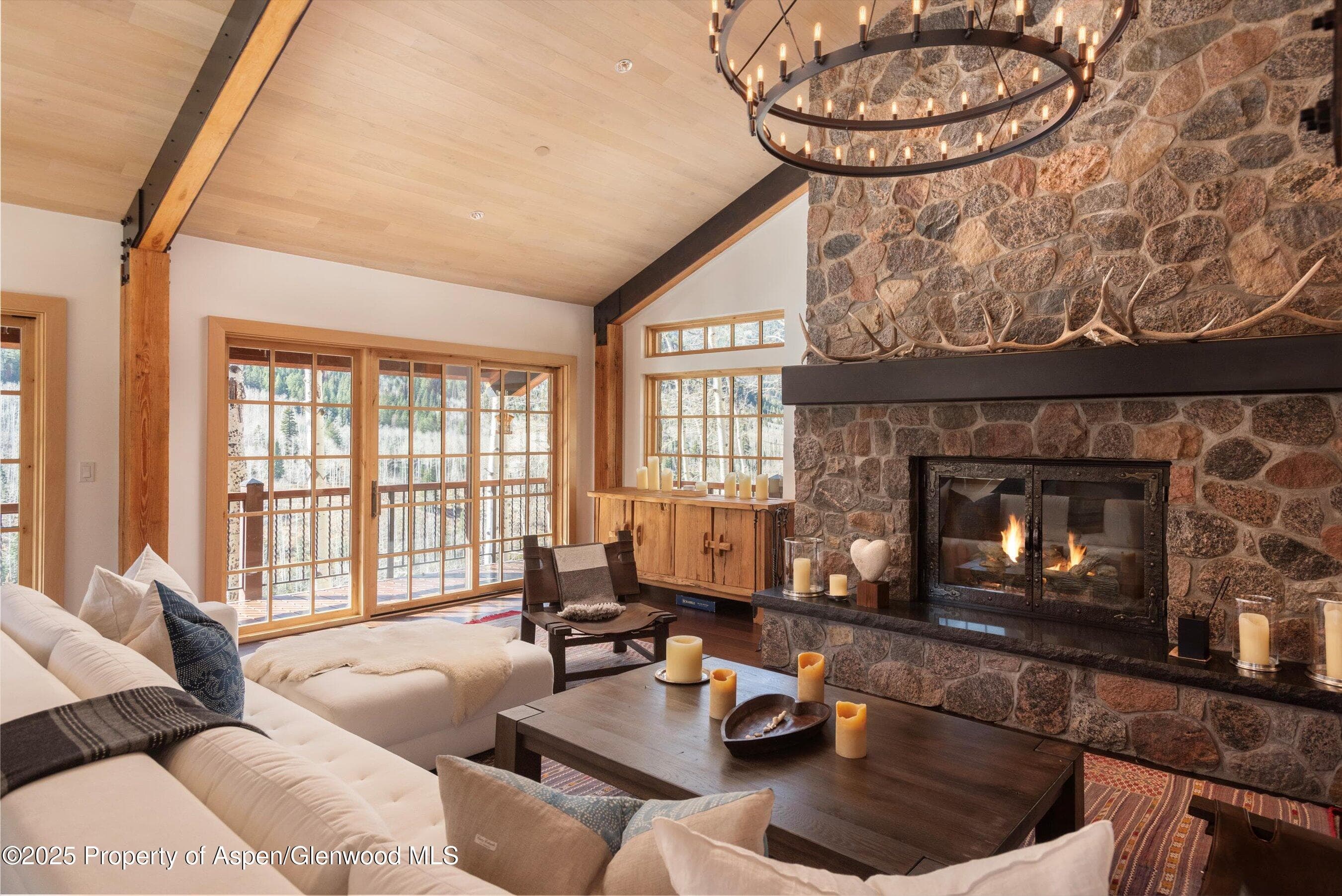 6770 Castle Creek Road, Aspen, CO 81611 - Photo 7
